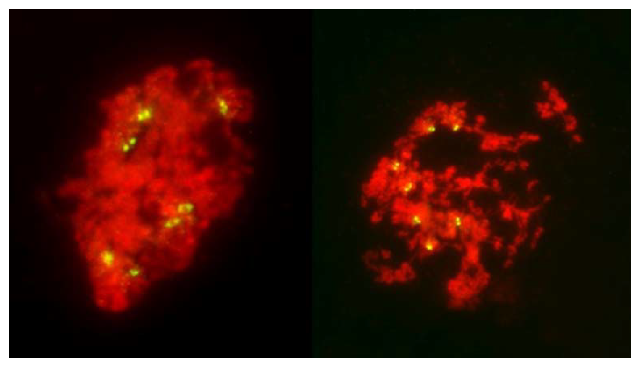 Plants 11 00337 g009