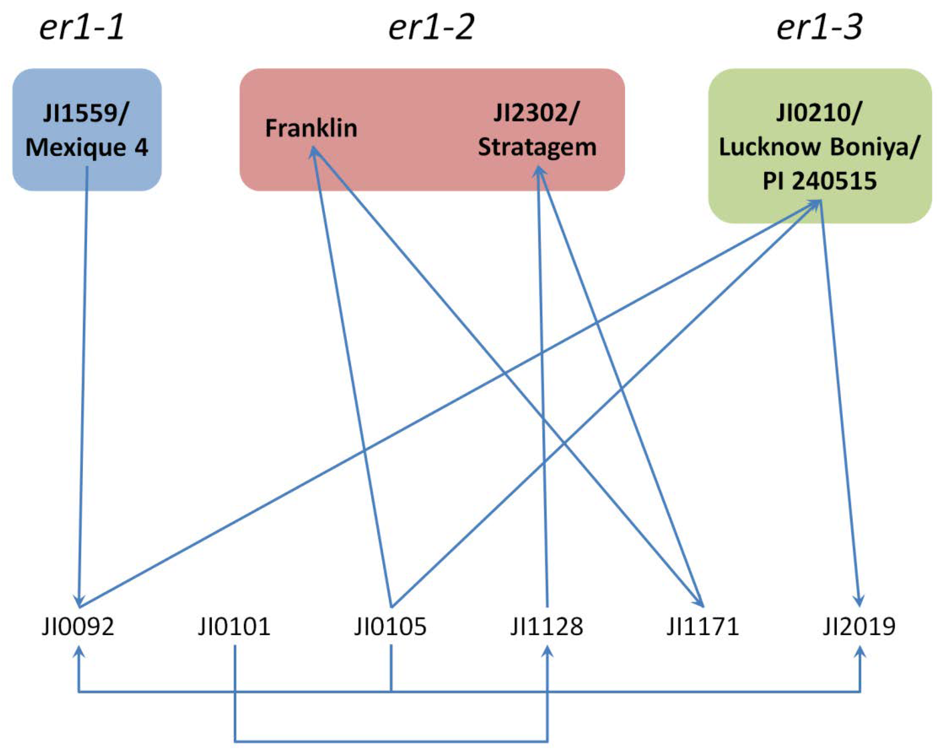 Plants 11 00339 g0a1