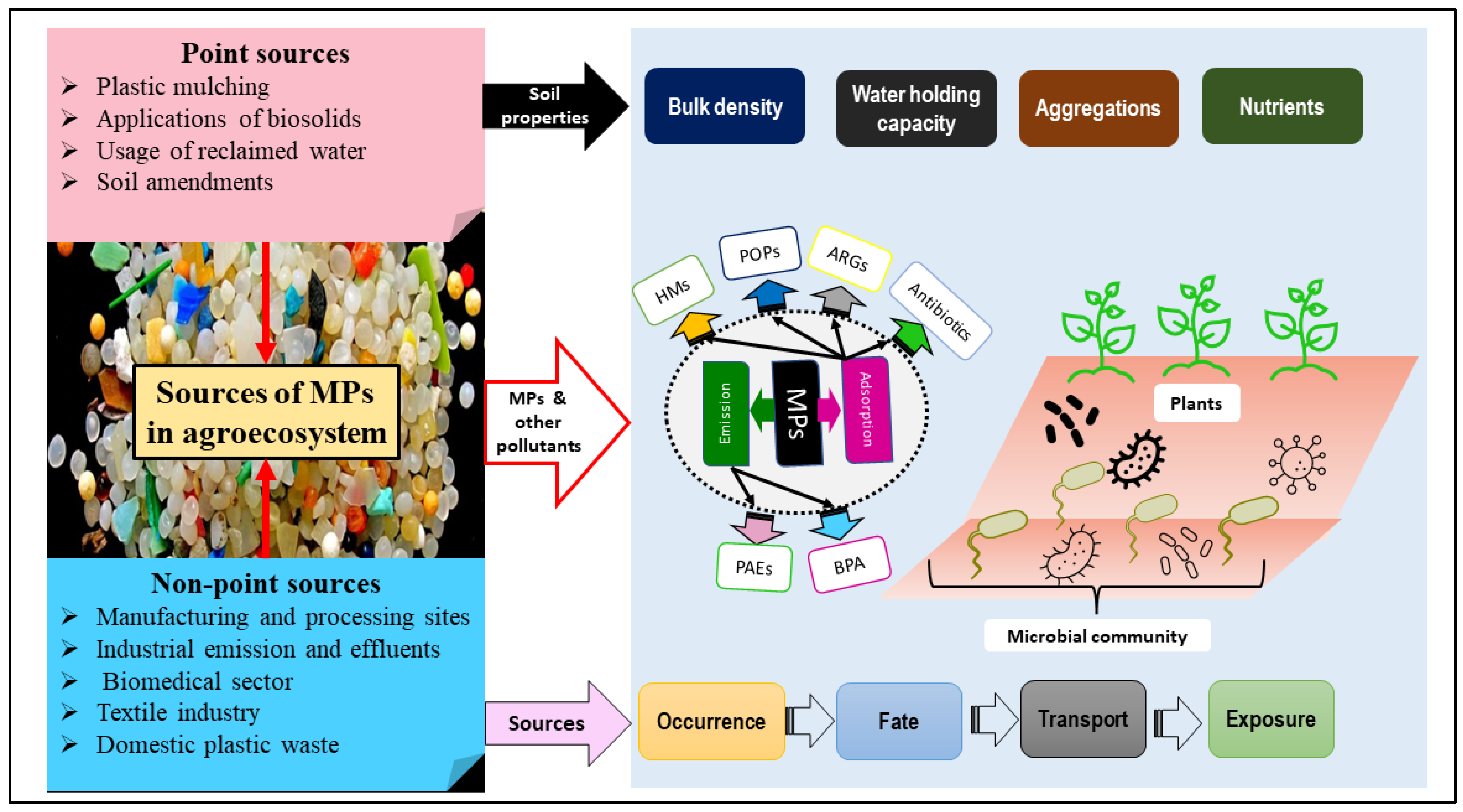 Plants 11 00340 g003