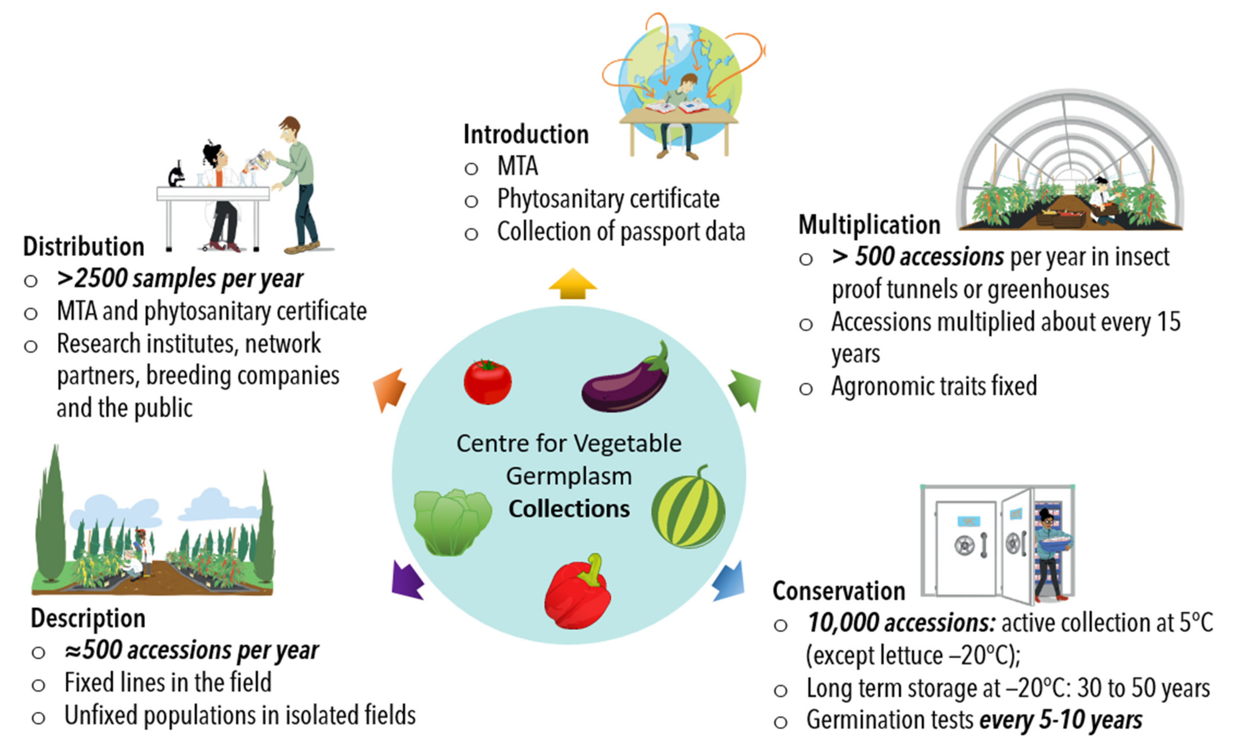 Plants 11 00347 g004