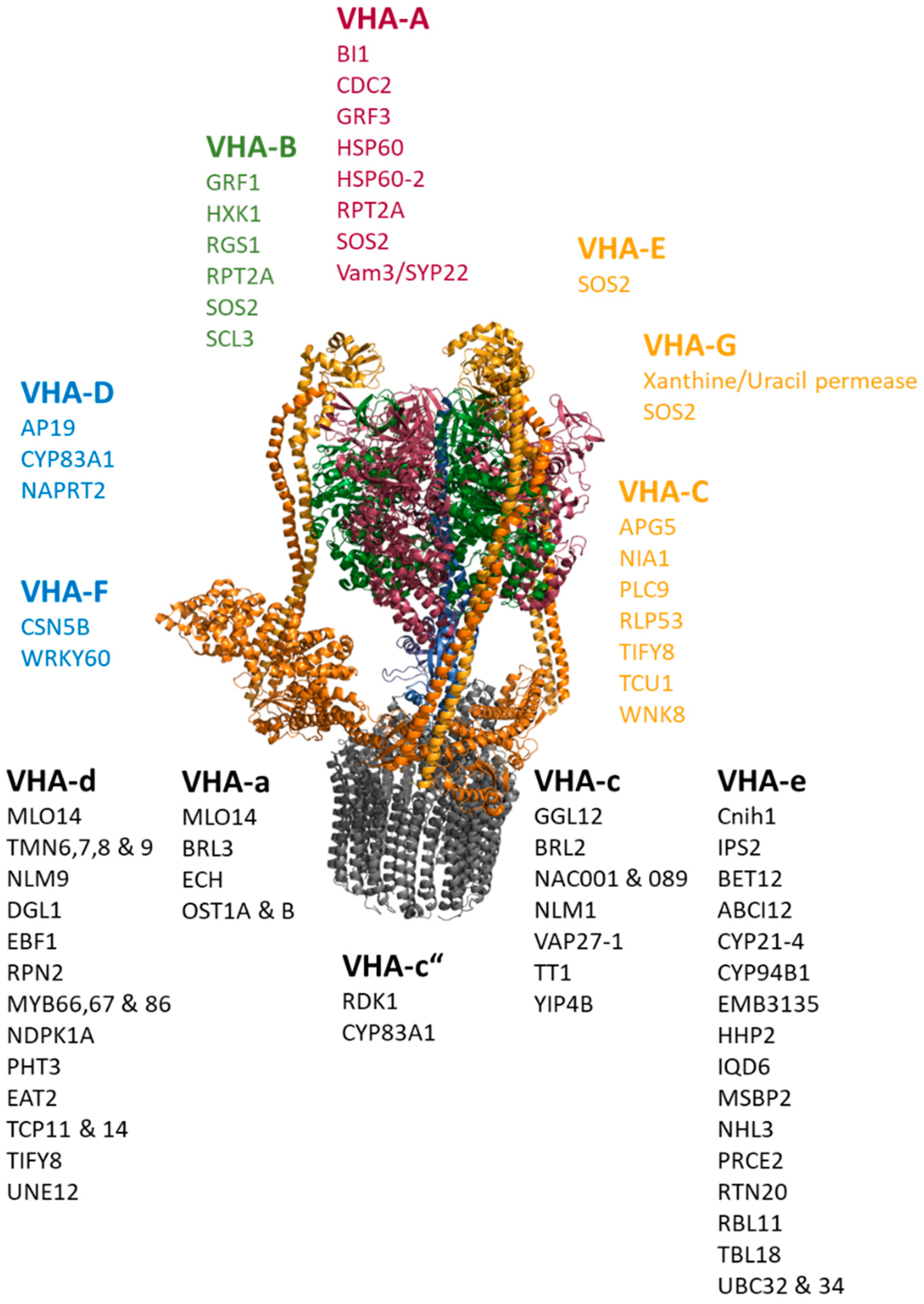 Plants 11 00350 g004 Plants 11 00350 g004