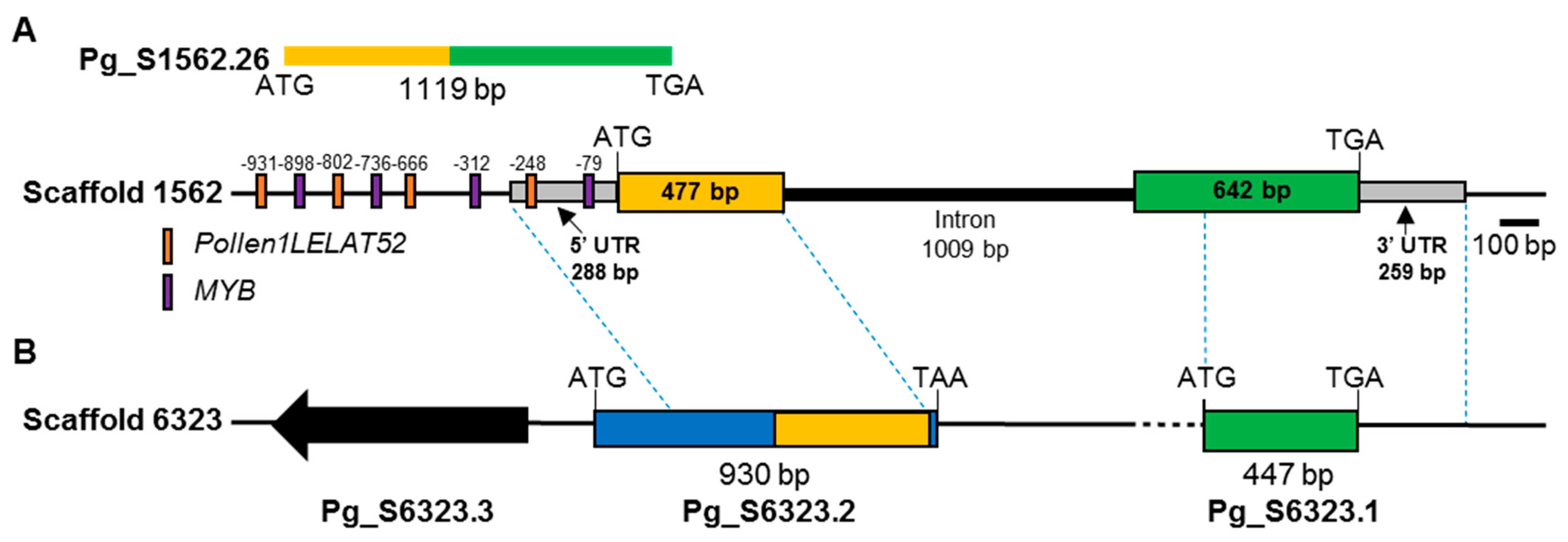 Plants 11 00383 g001