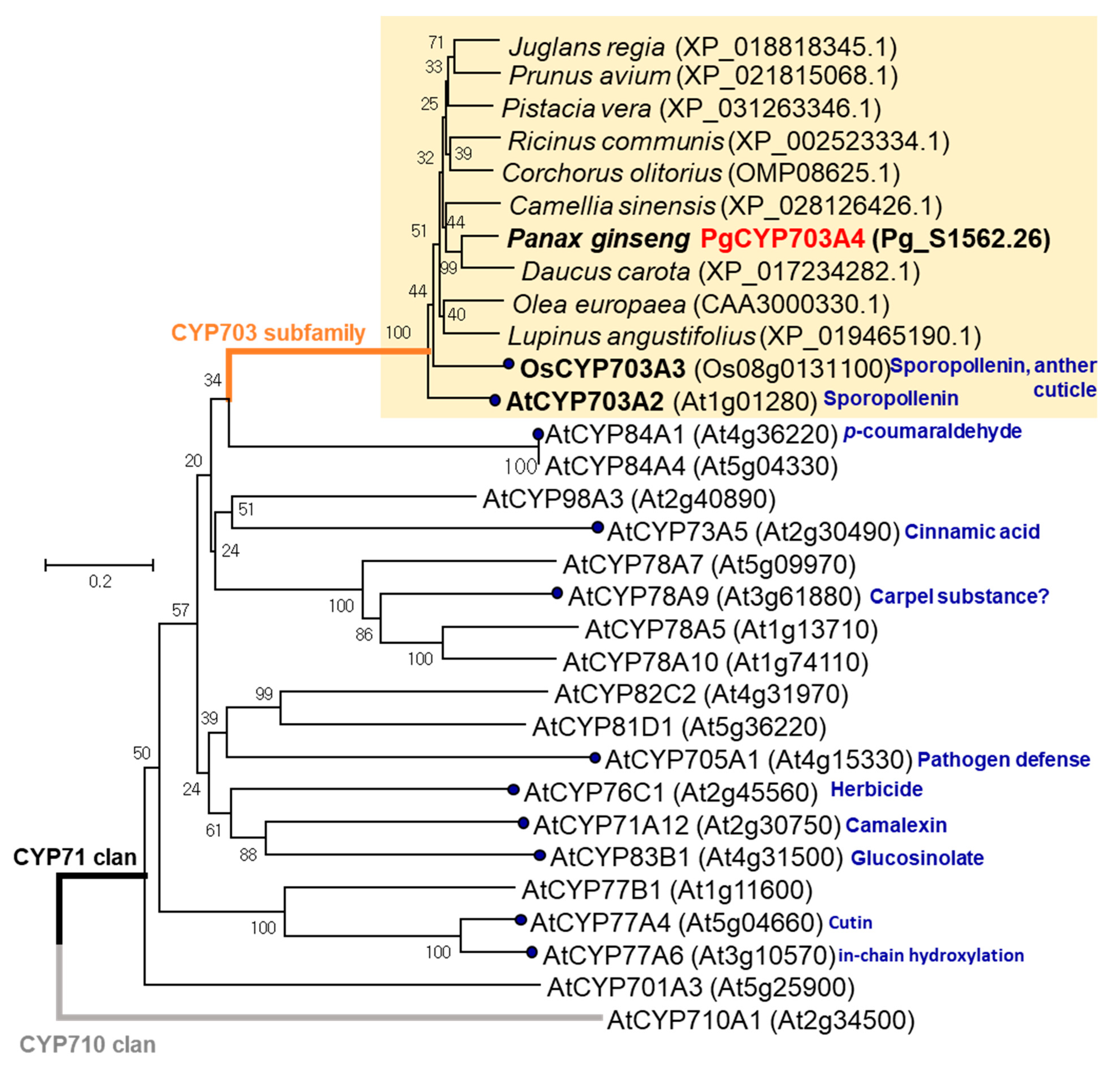 Plants 11 00383 g002