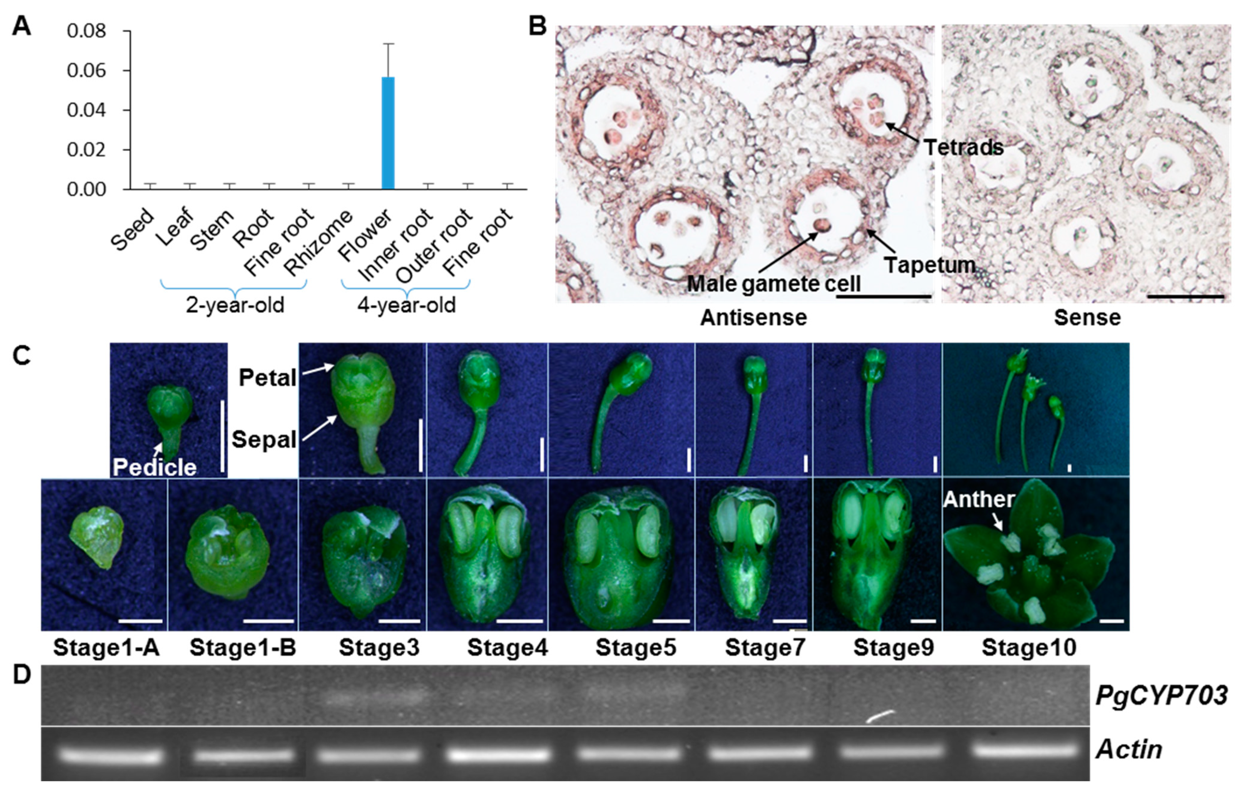Plants 11 00383 g003