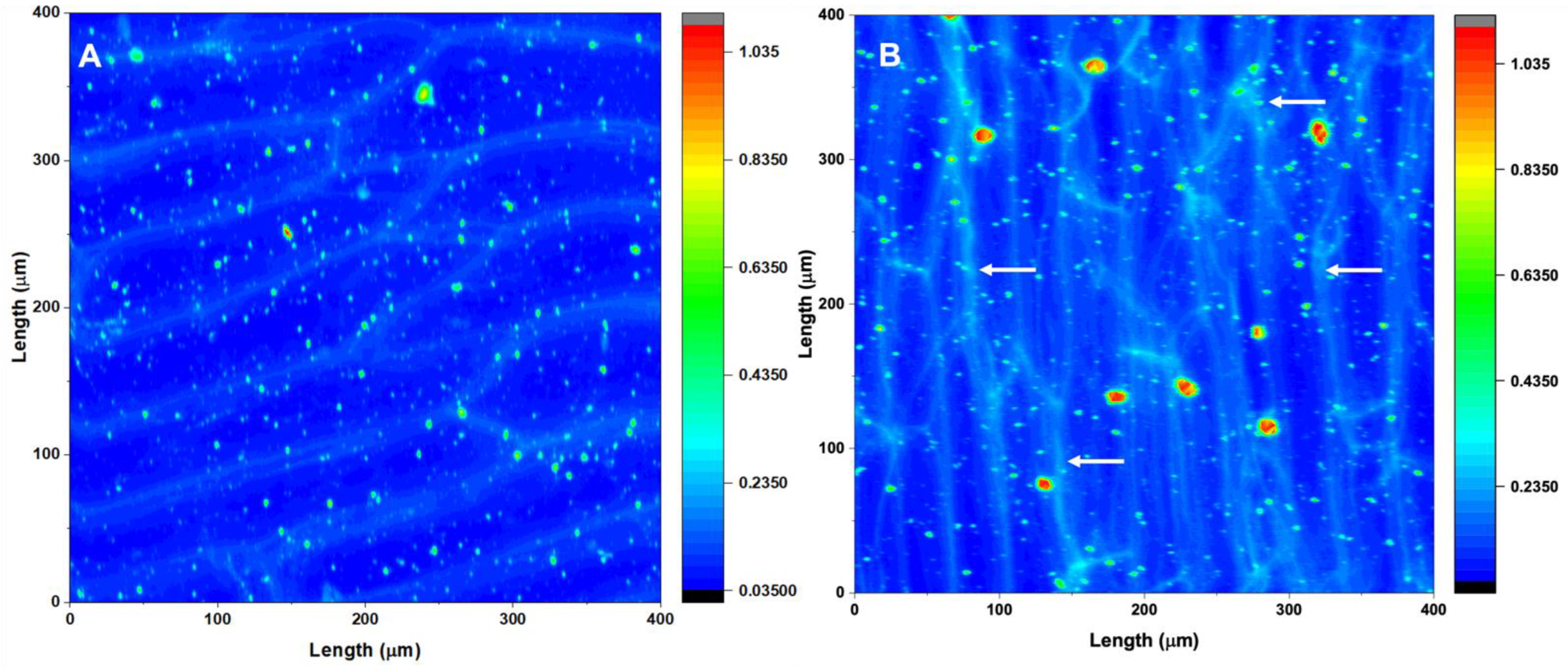 Plants 11 00385 g003