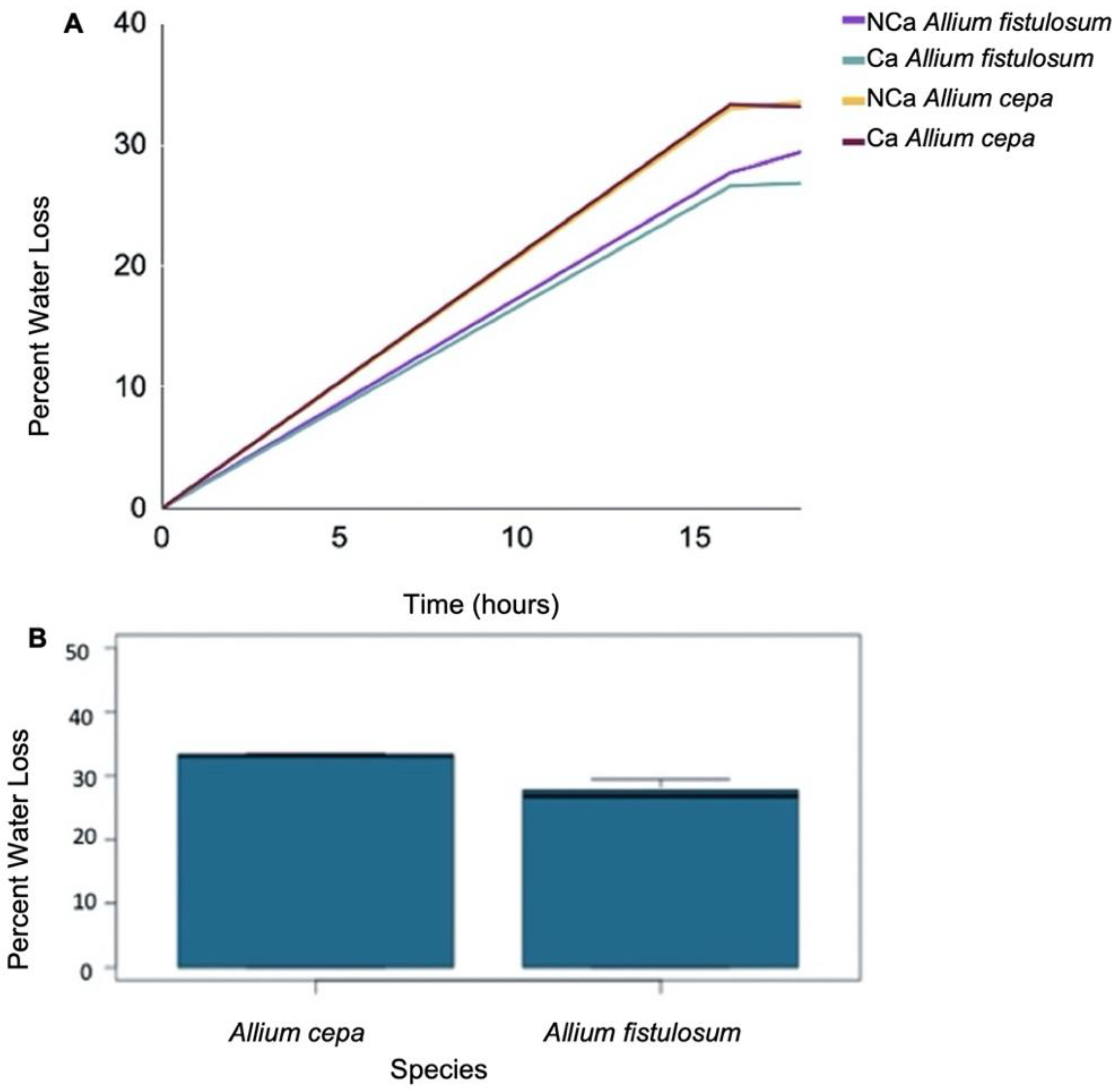 Plants 11 00385 g005