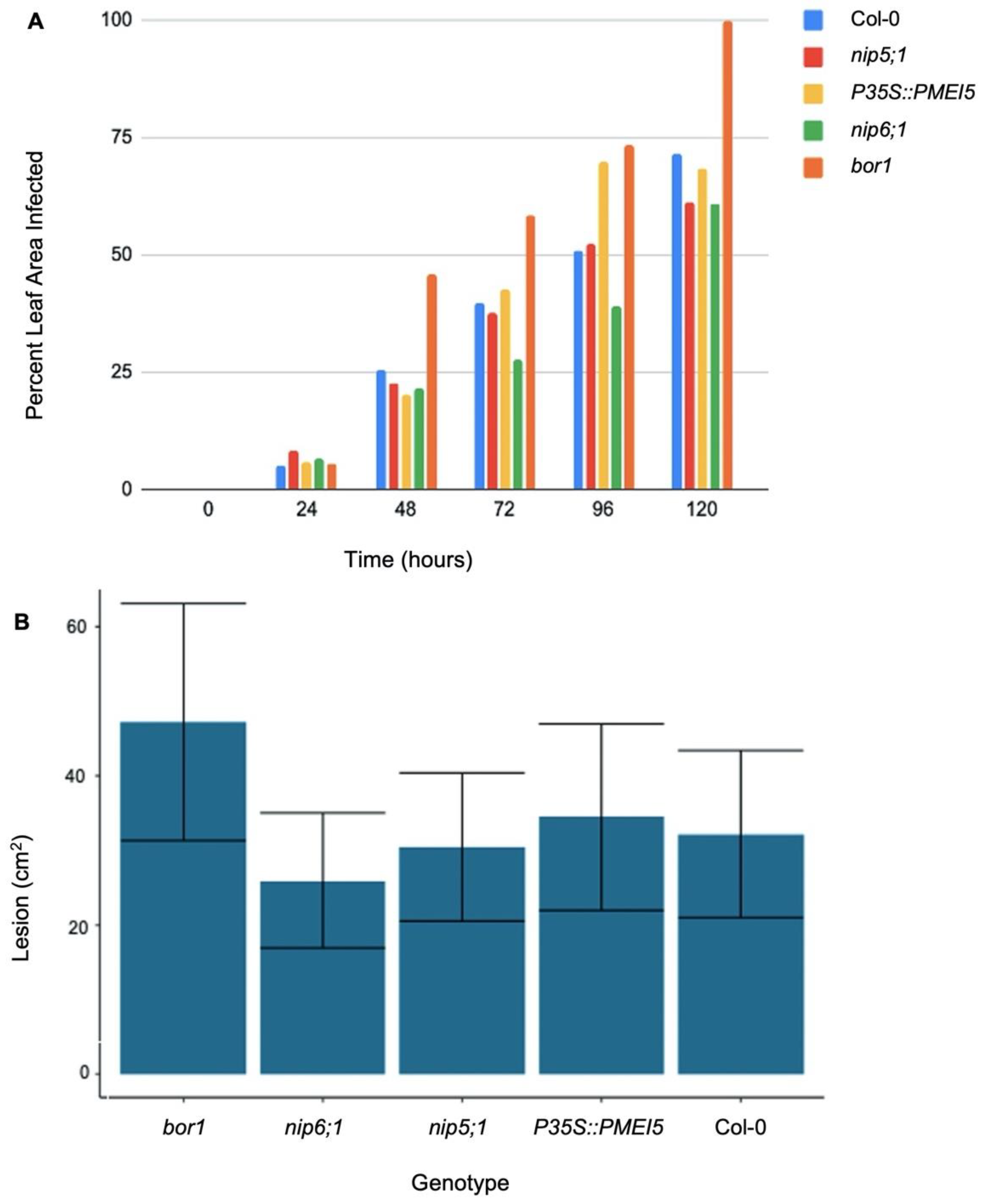Plants 11 00385 g007