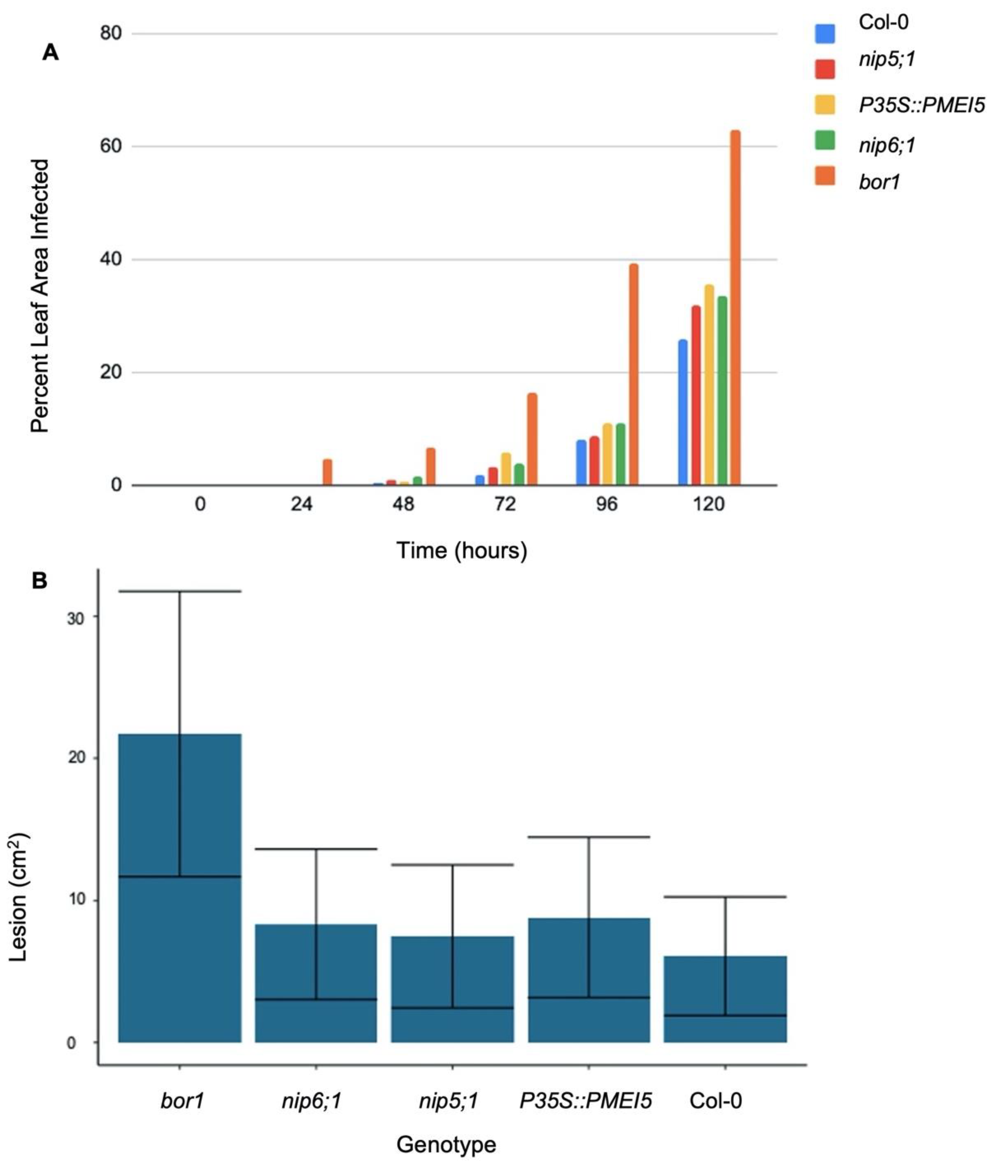 Plants 11 00385 g008