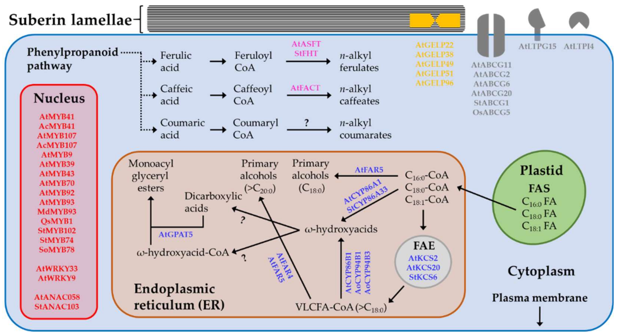 Plants 11 00392 g003