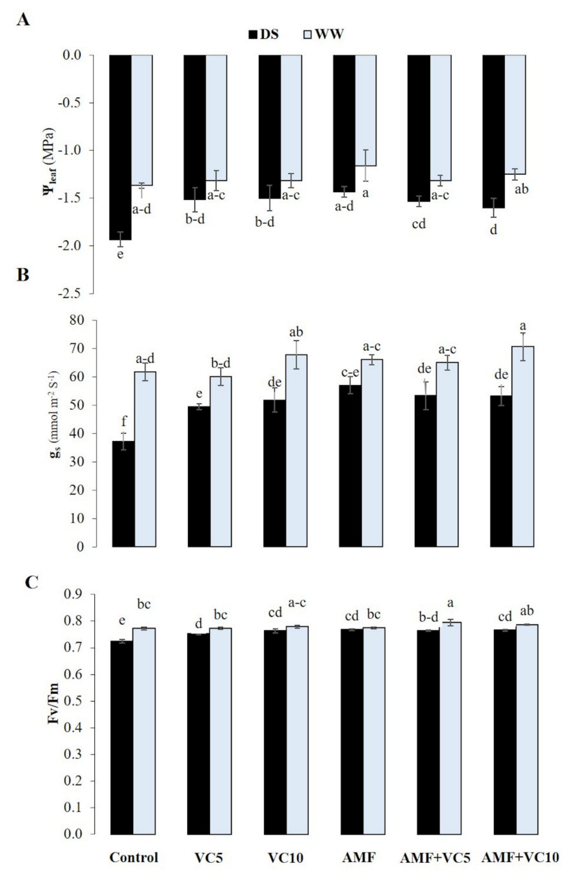 Plants 11 00393 g003