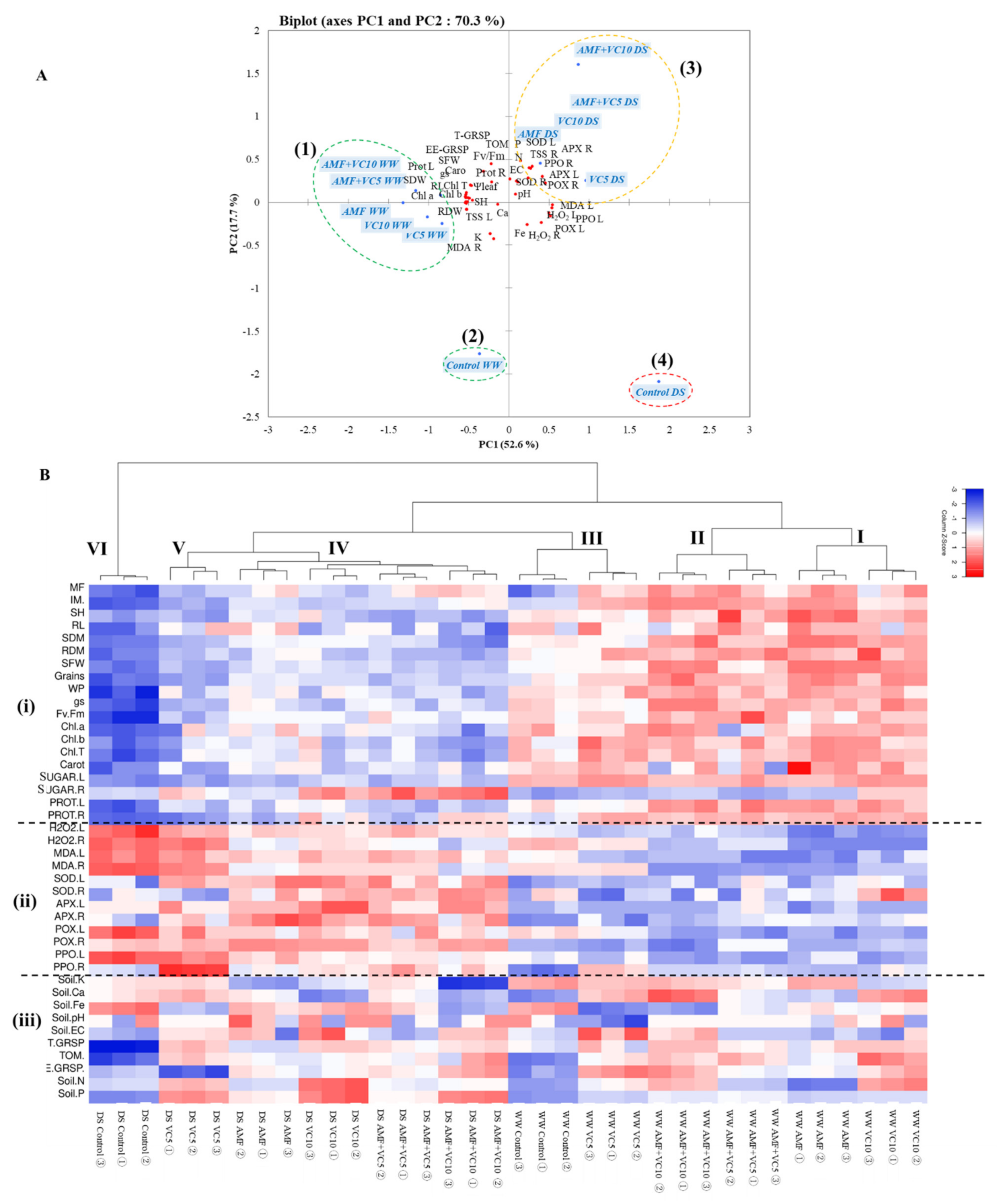 Plants 11 00393 g005