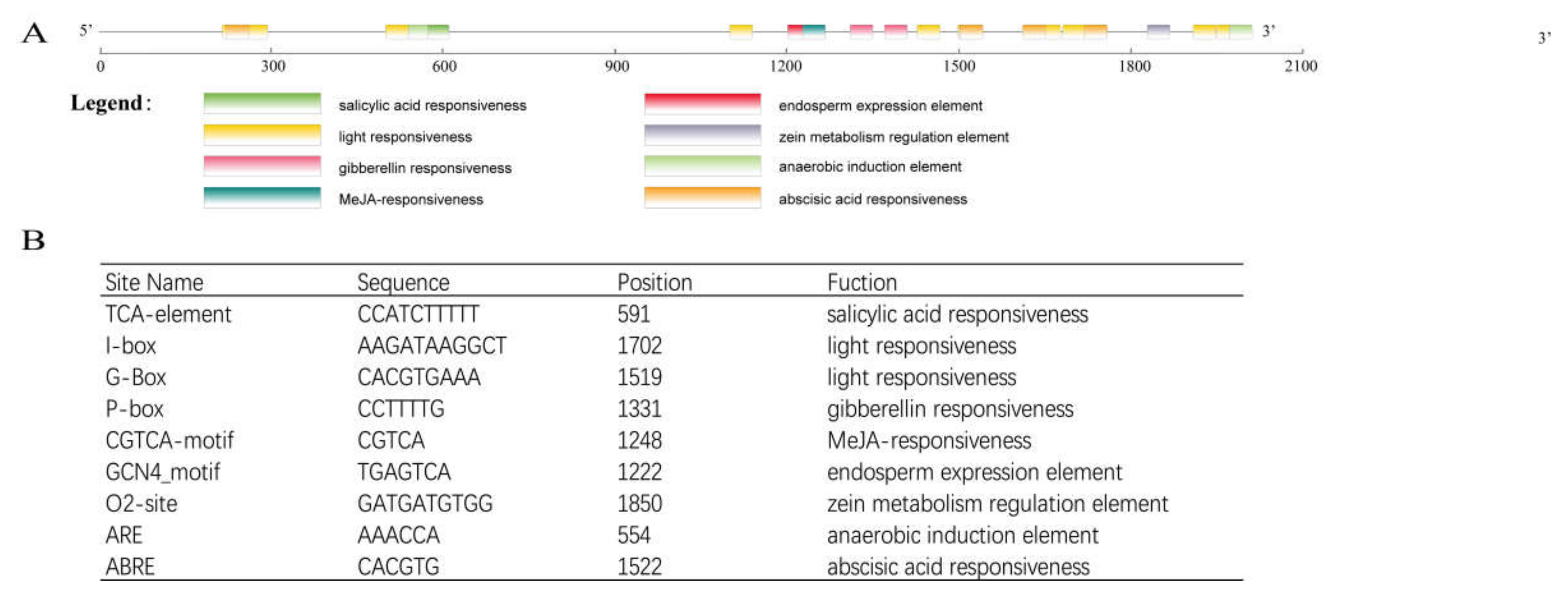 Plants 11 00395 g004