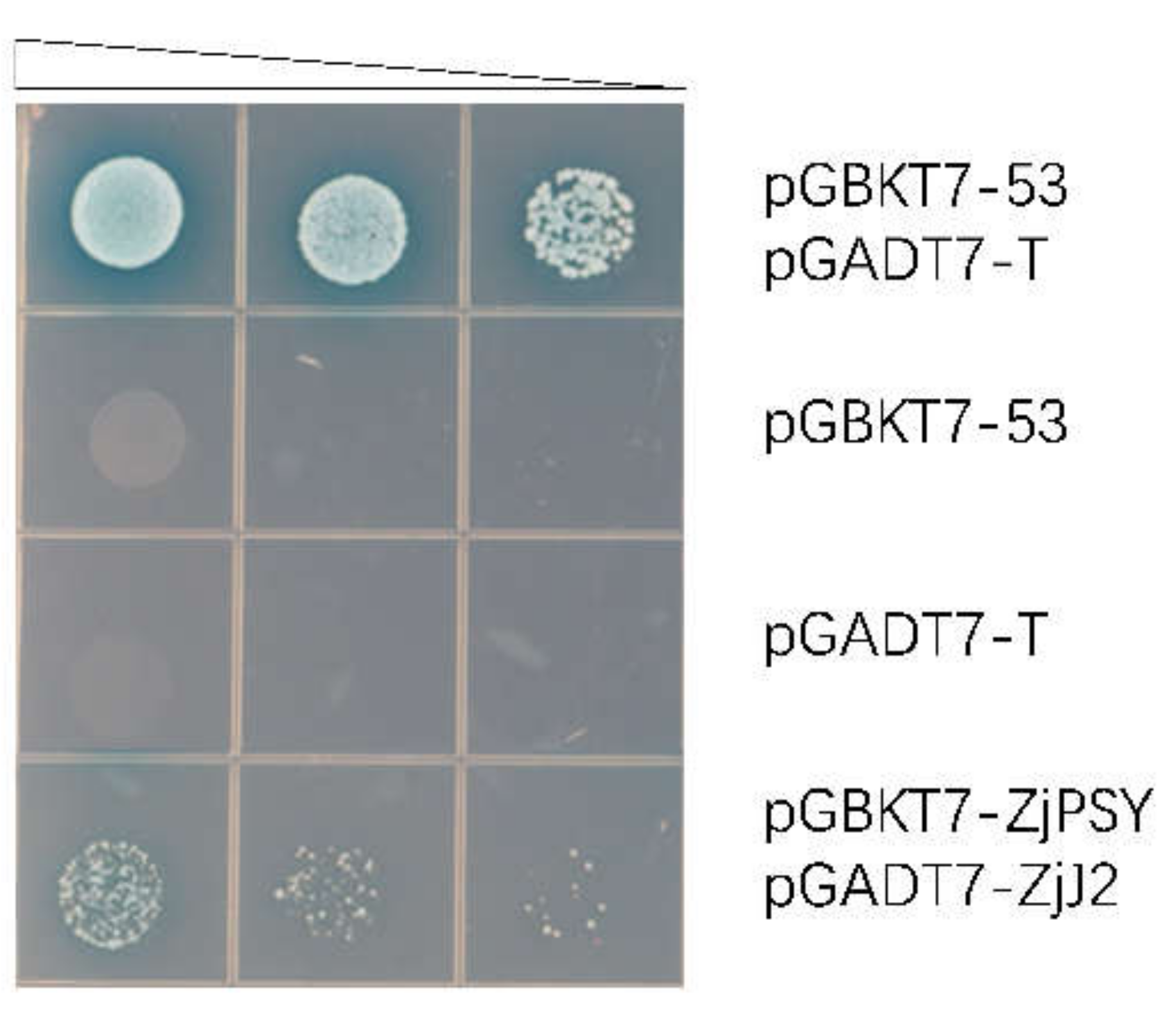 Plants 11 00395 g006