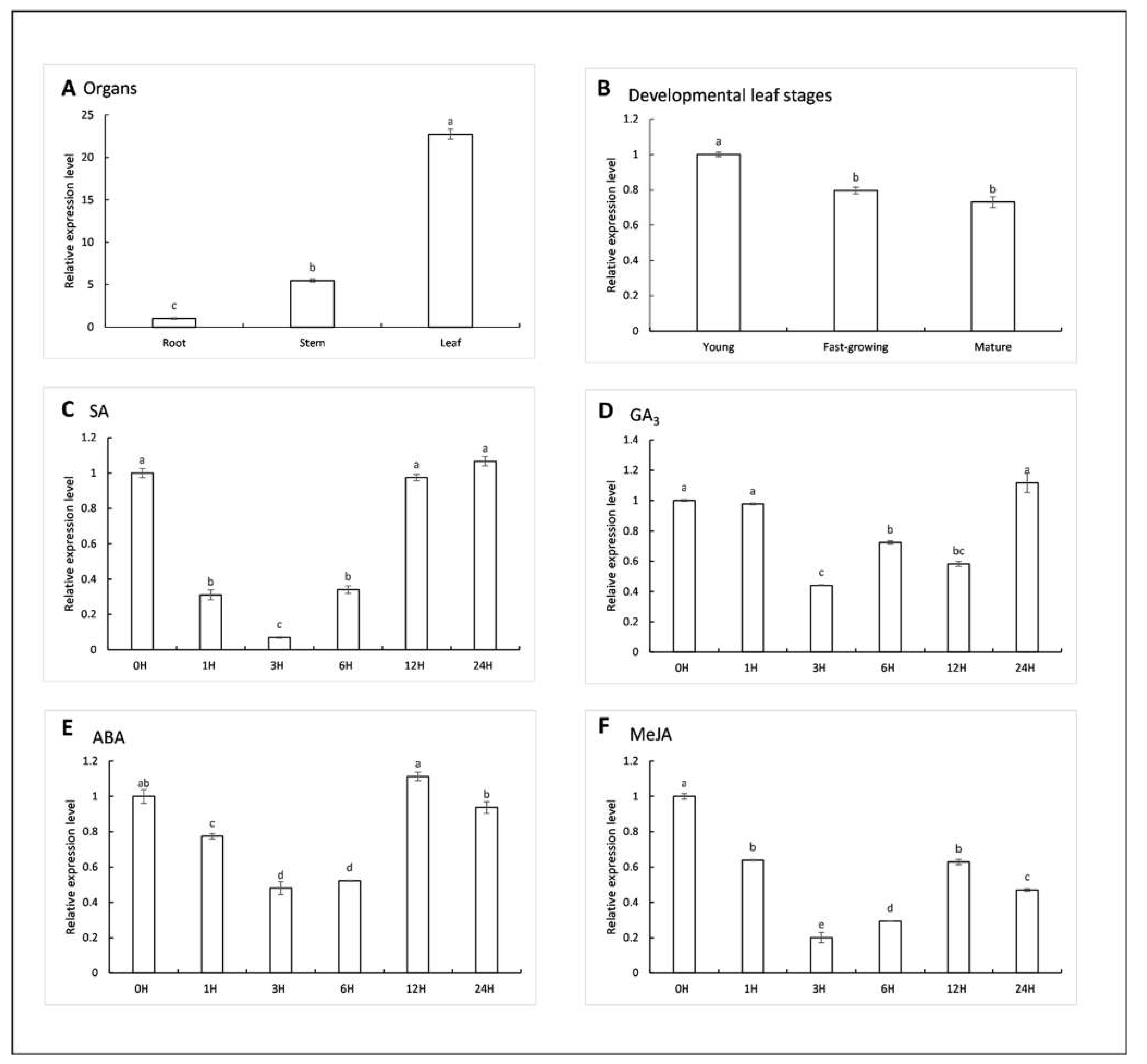 Plants 11 00395 g008