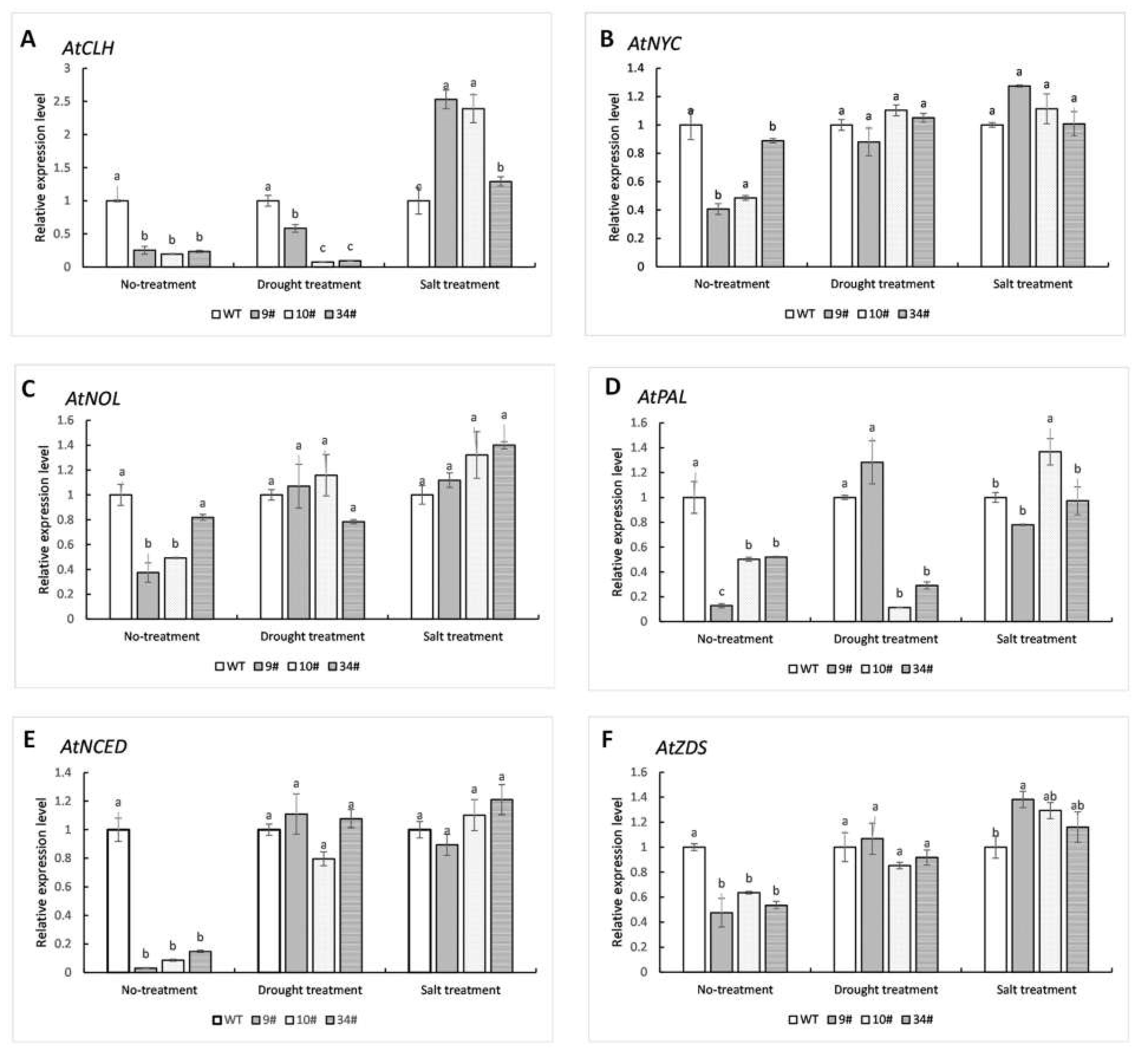 Plants 11 00395 g012