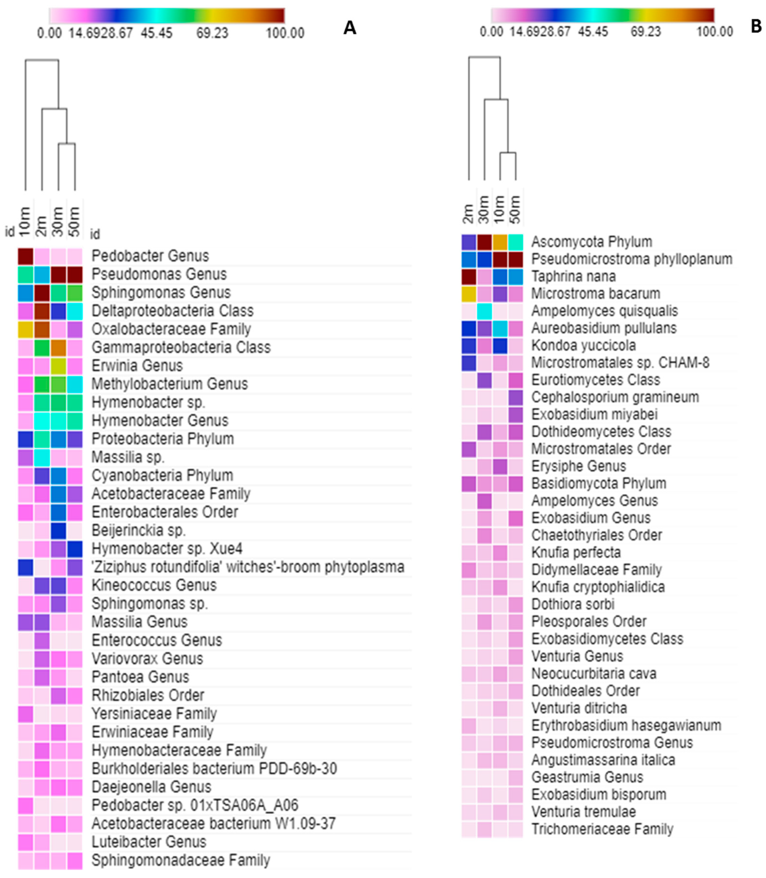 Plants 11 00402 g009