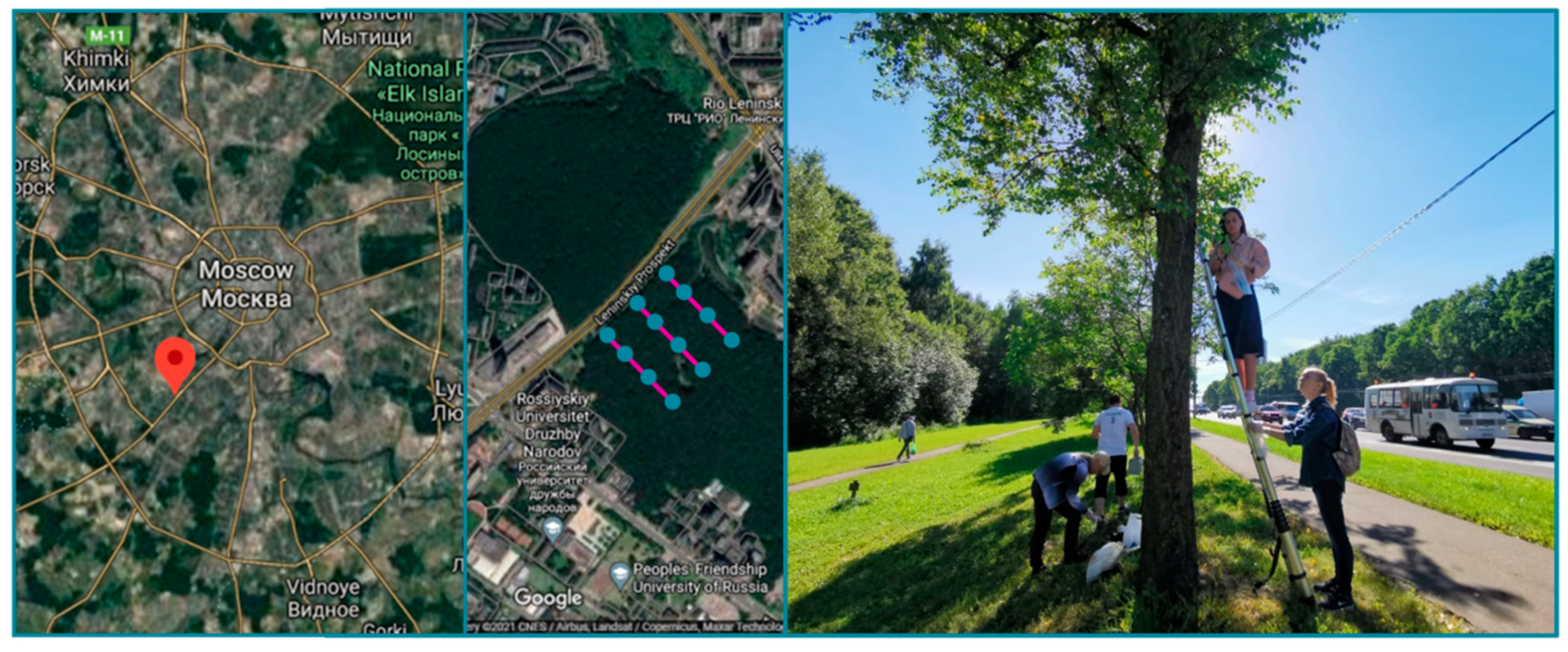 Plants 11 00402 g012