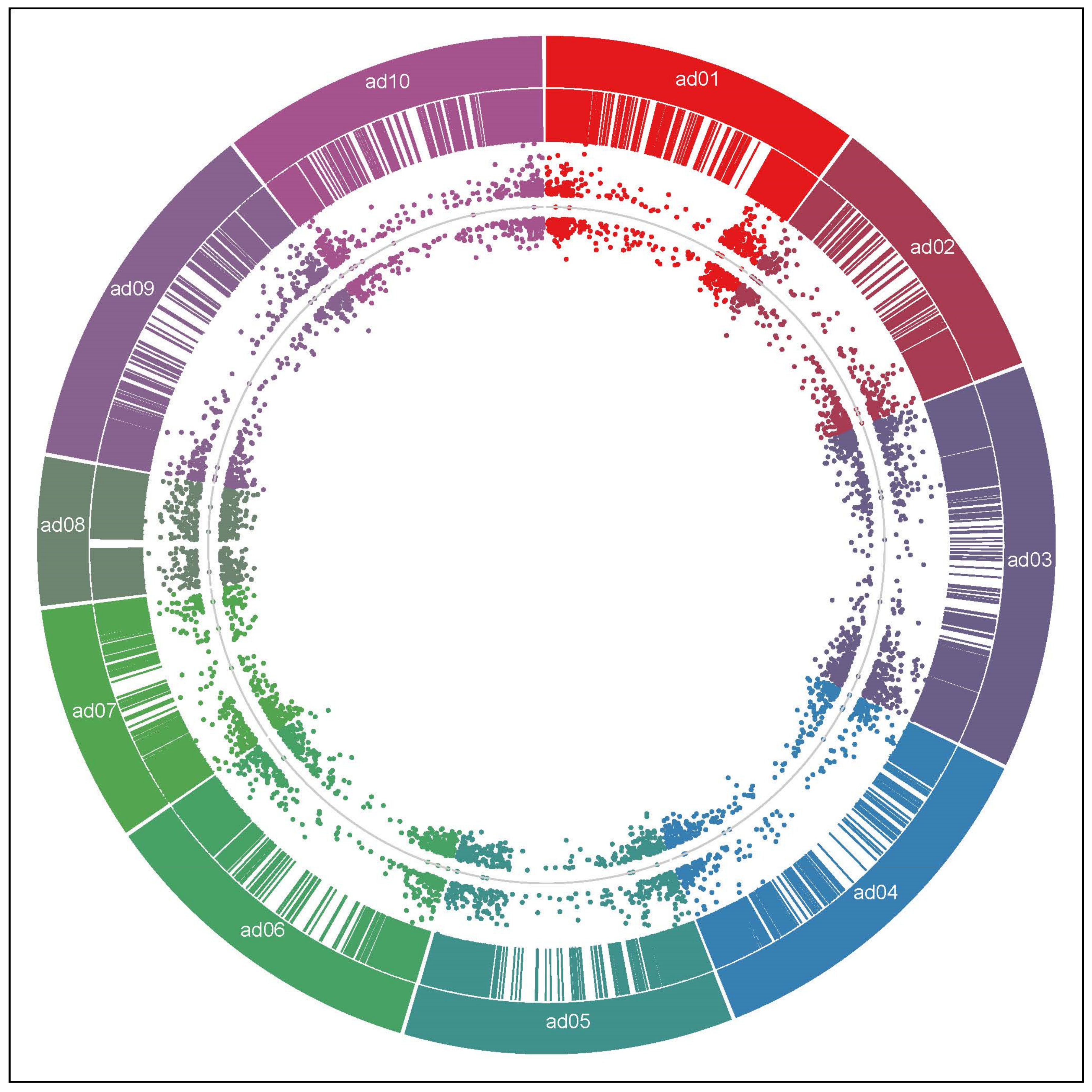 Plants 11 00408 g001