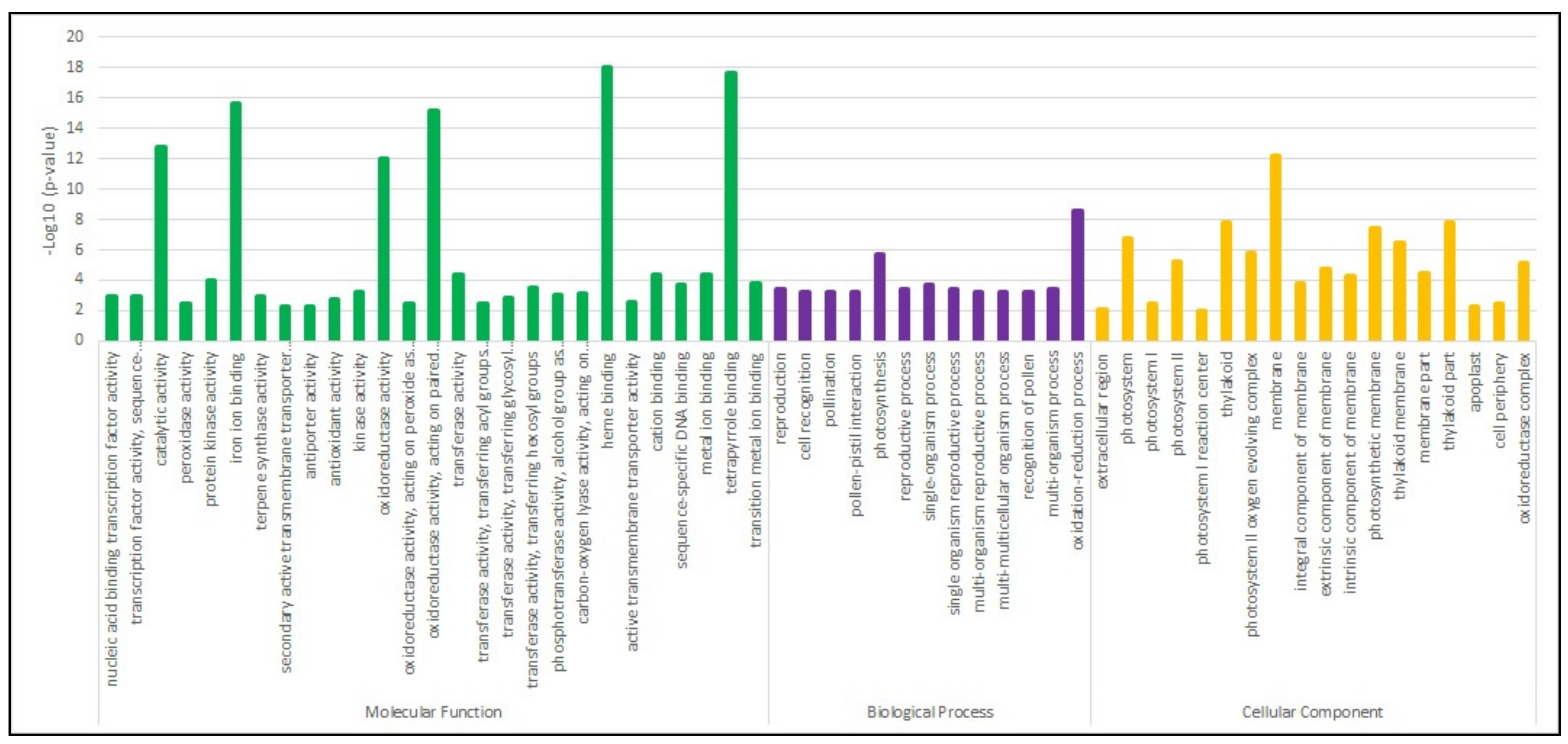 Plants 11 00408 g002