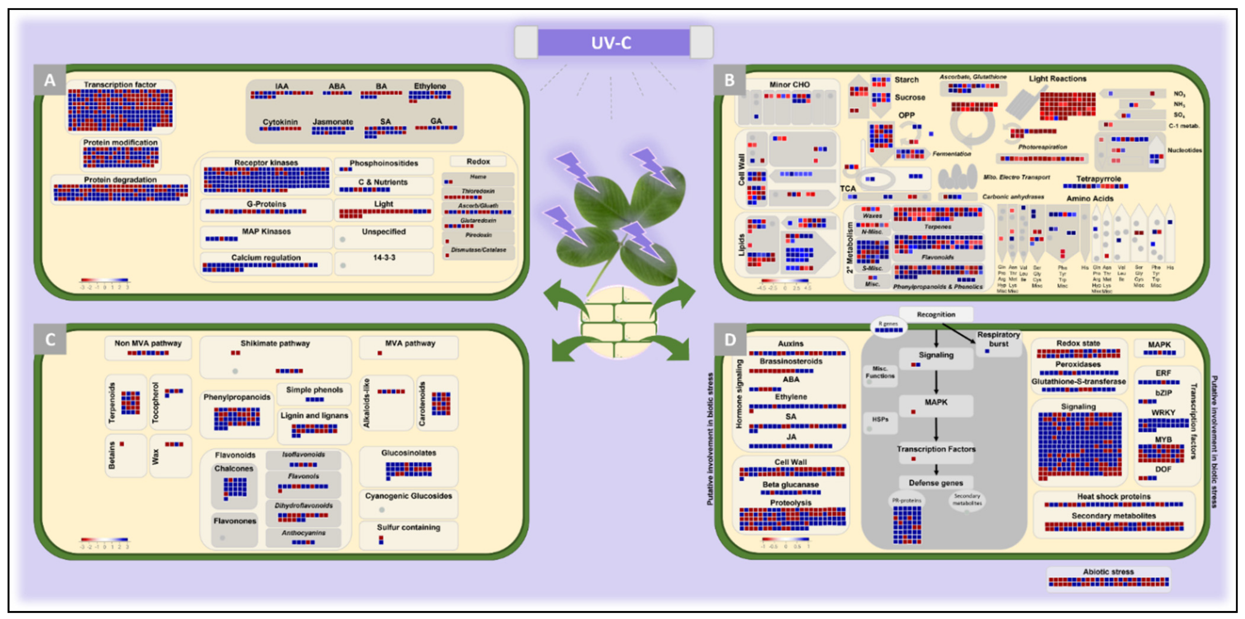 Plants 11 00408 g003