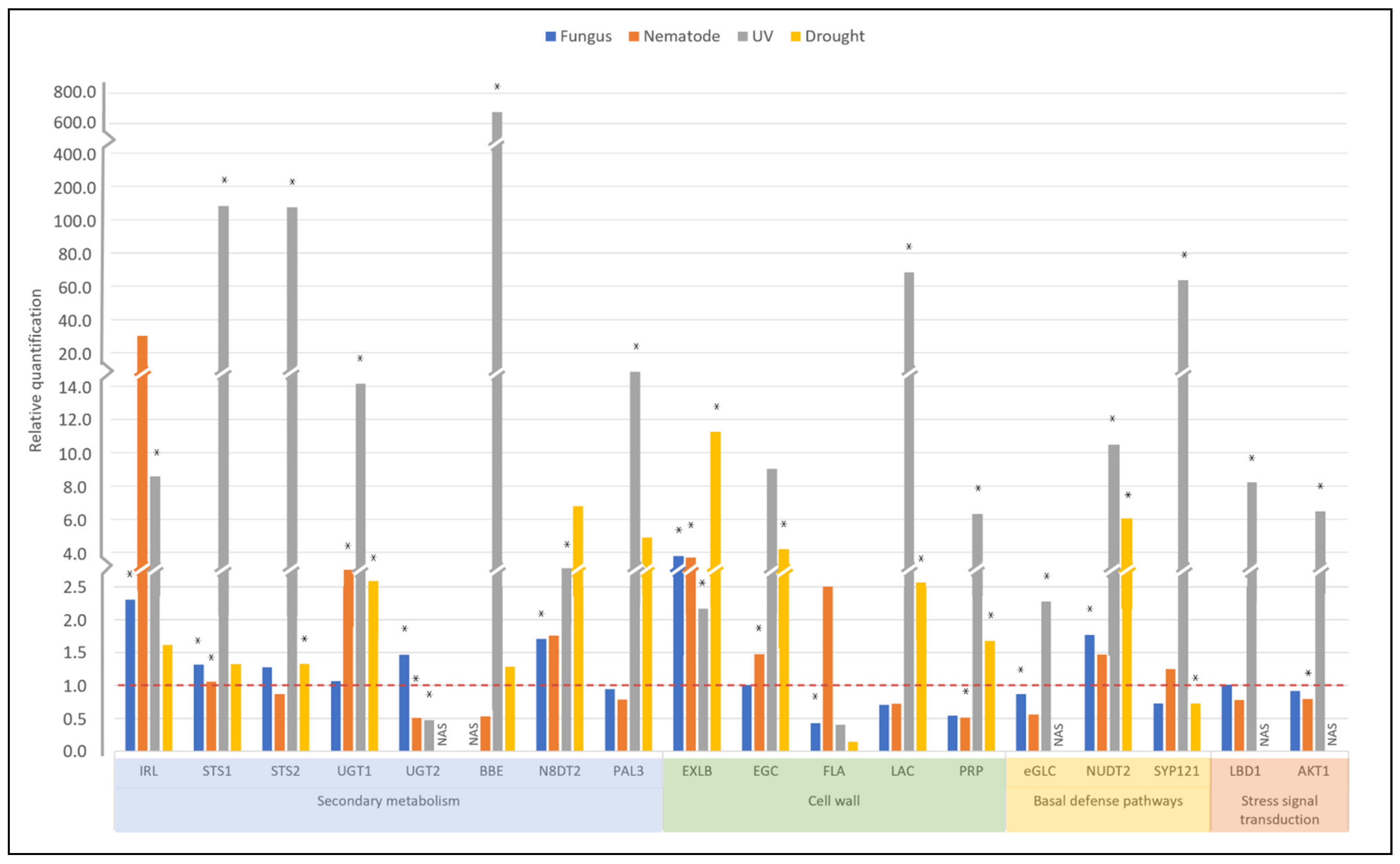 Plants 11 00408 g007