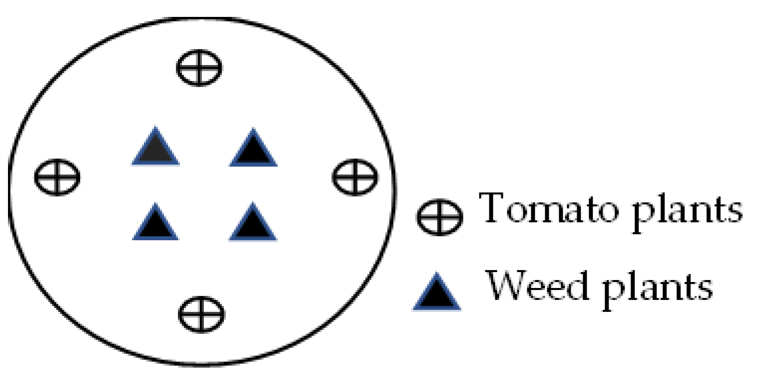 Plants 11 00411 g001