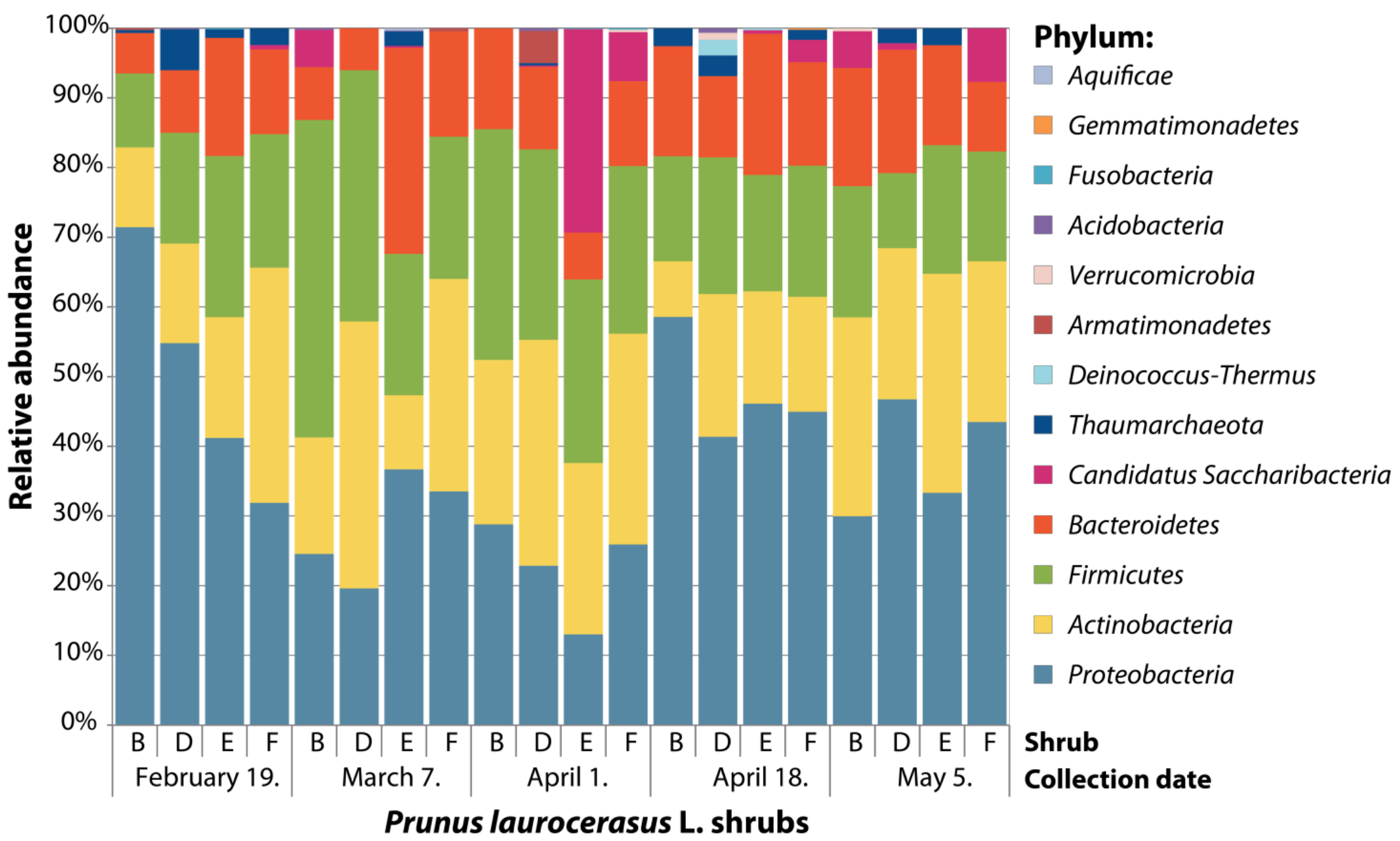 Plants 11 00417 g001