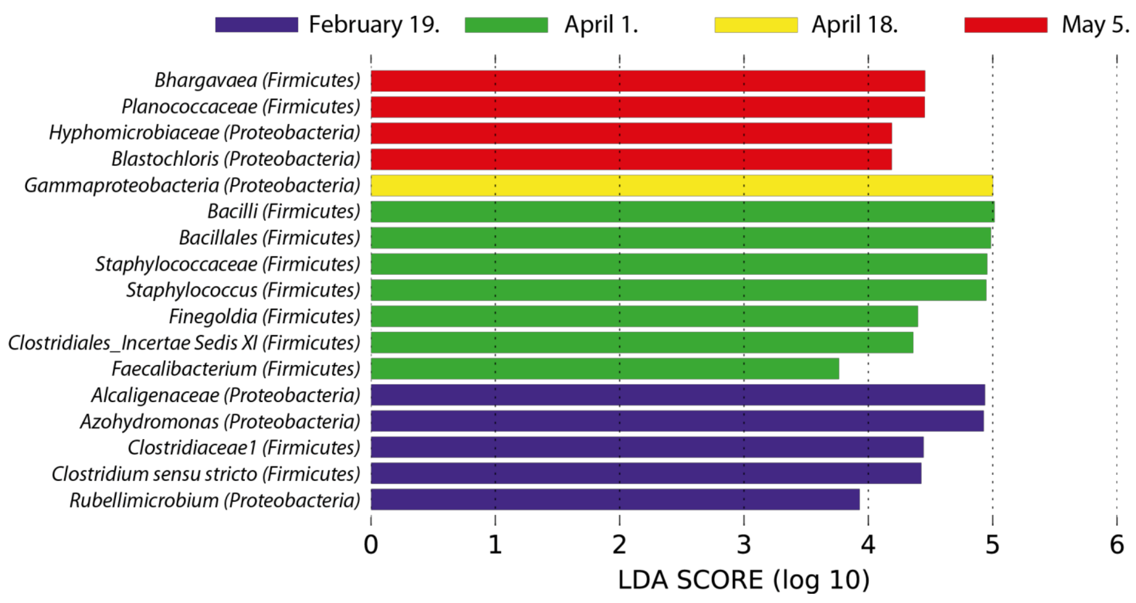 Plants 11 00417 g006