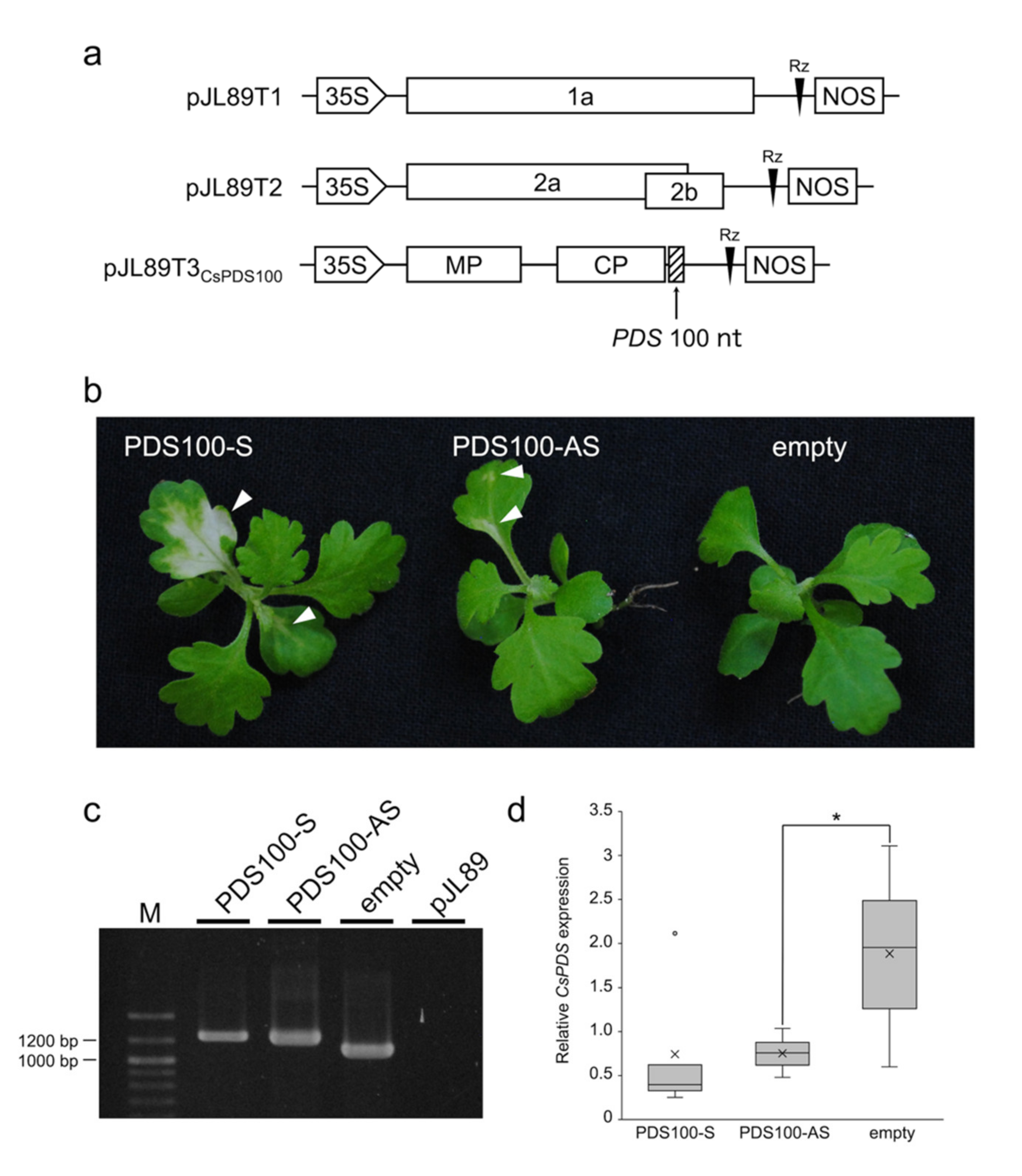 Plants 11 00430 g002