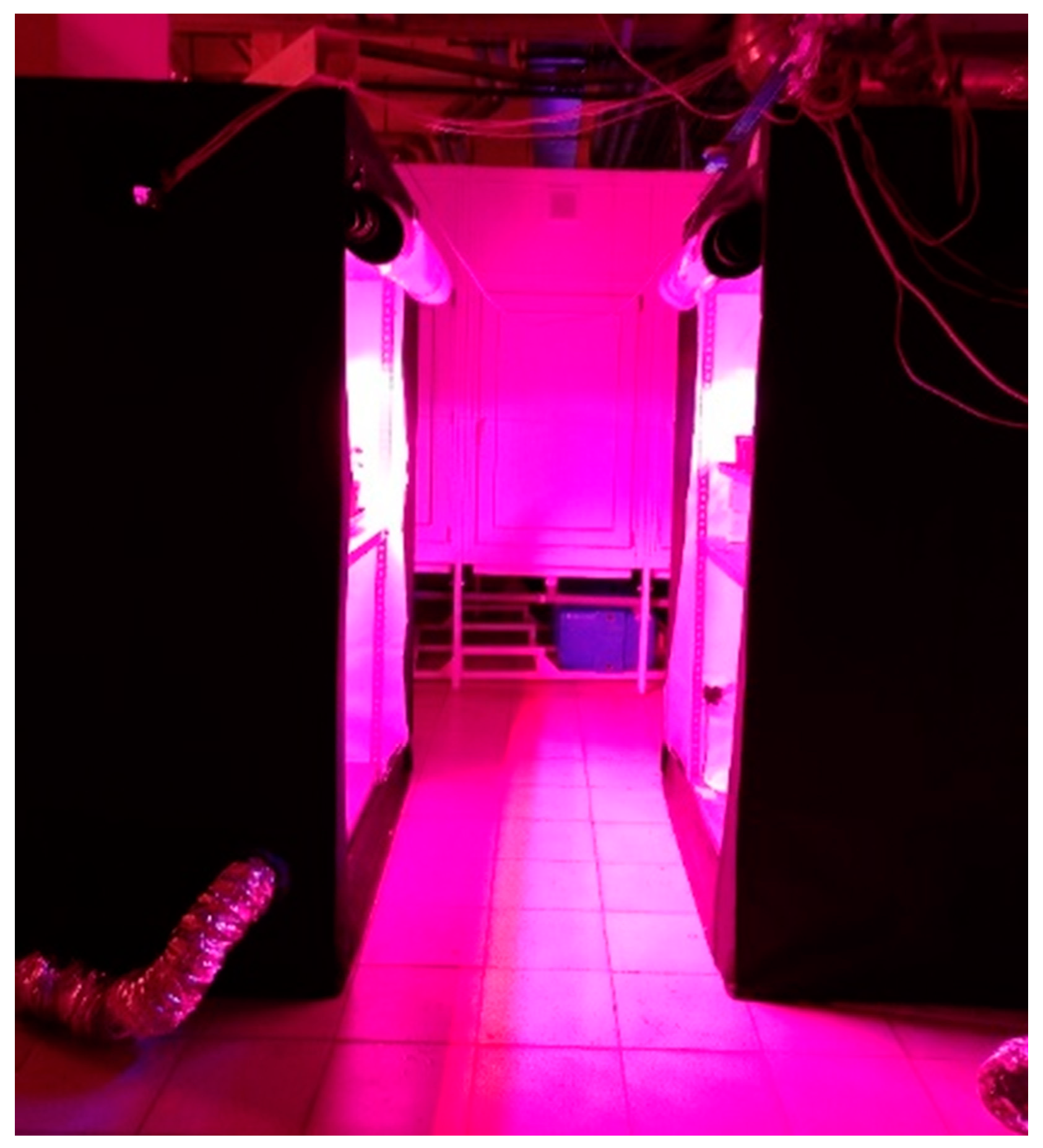 Plants 11 00441 g001