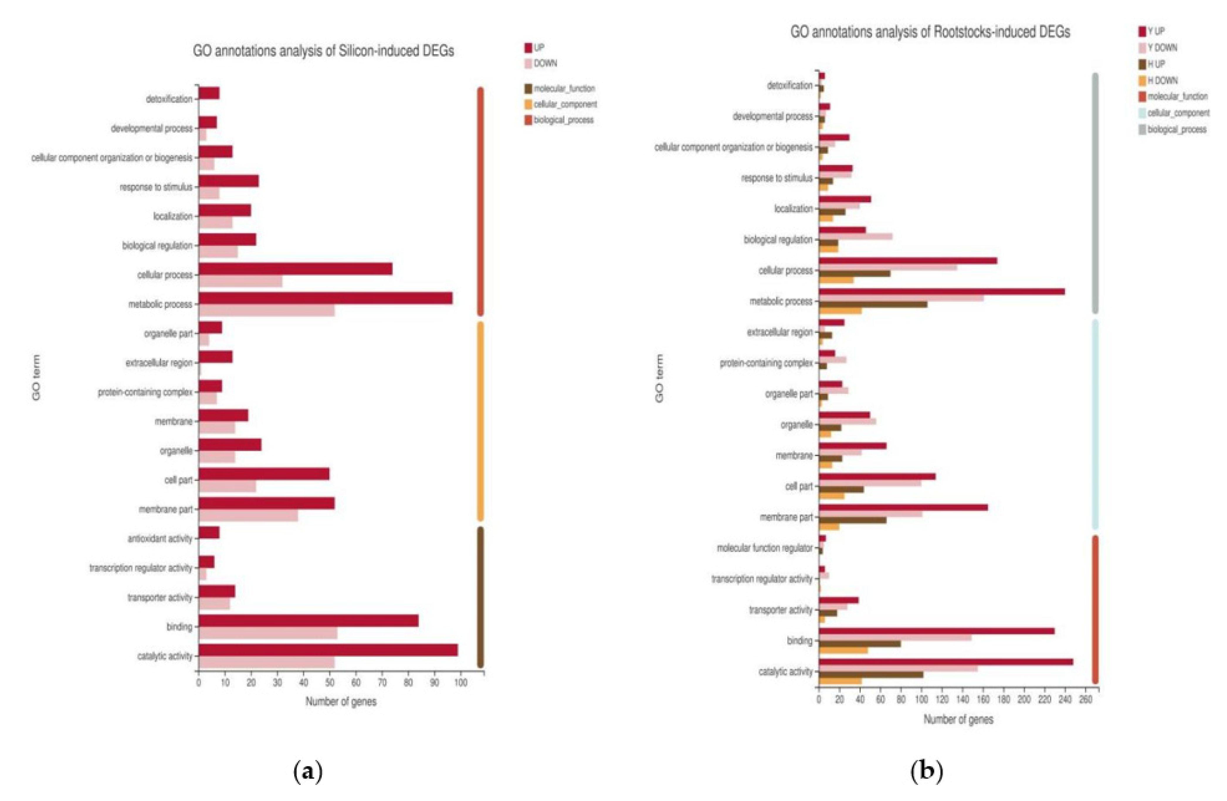 Plants 11 00445 g003