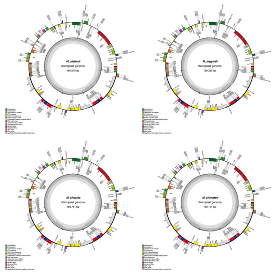 Plants 11 00448 g0a1a 550