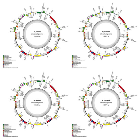 Plants 11 00448 g0a1b 550