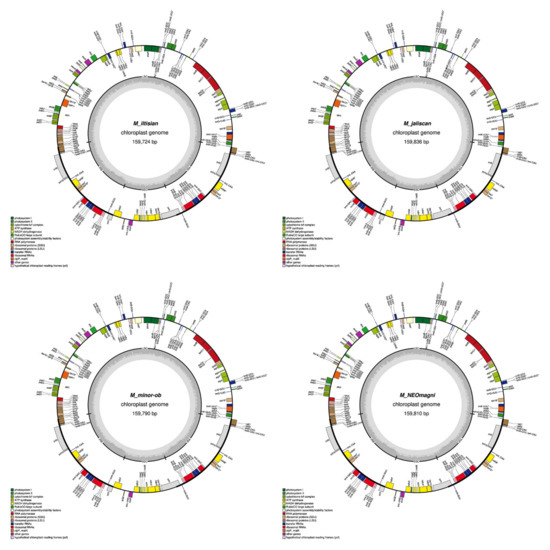 Plants 11 00448 g0a1c 550