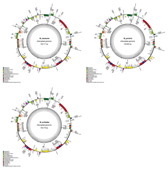 Plants 11 00448 g0a1d 550