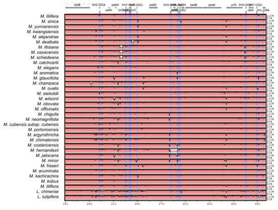 Plants 11 00448 g0a2b 550