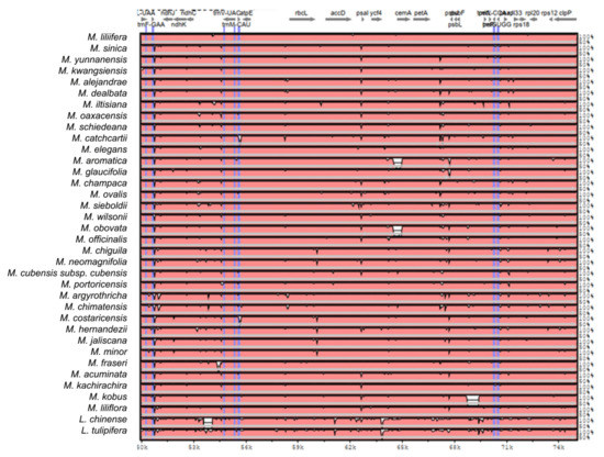 Plants 11 00448 g0a2c 550