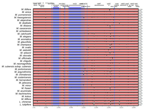 Plants 11 00448 g0a2e 550