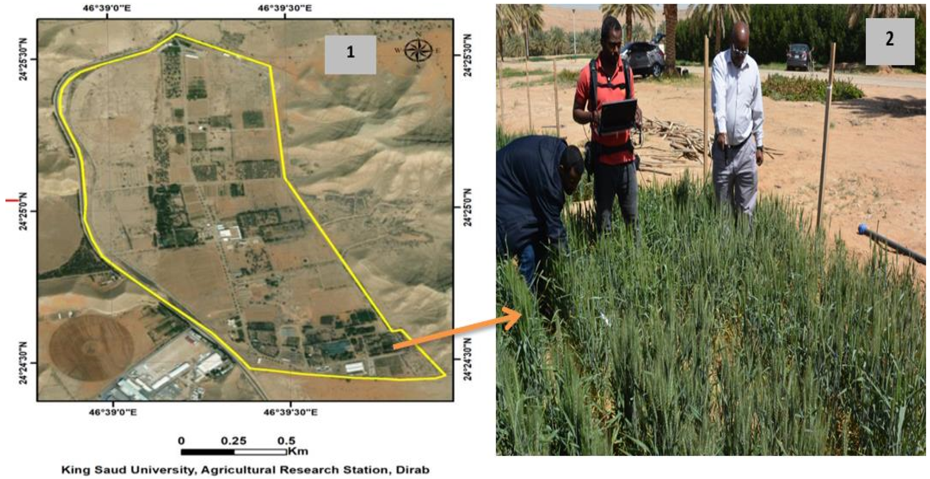 Plants 11 00456 g001