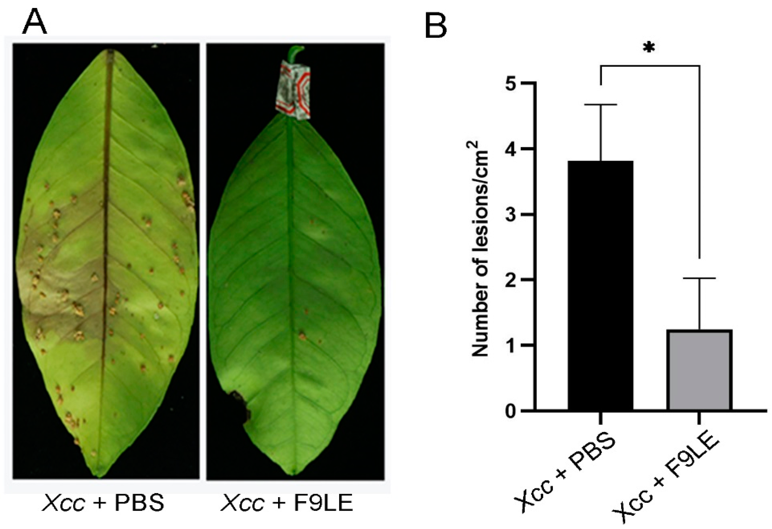 Plants 11 00457 g002