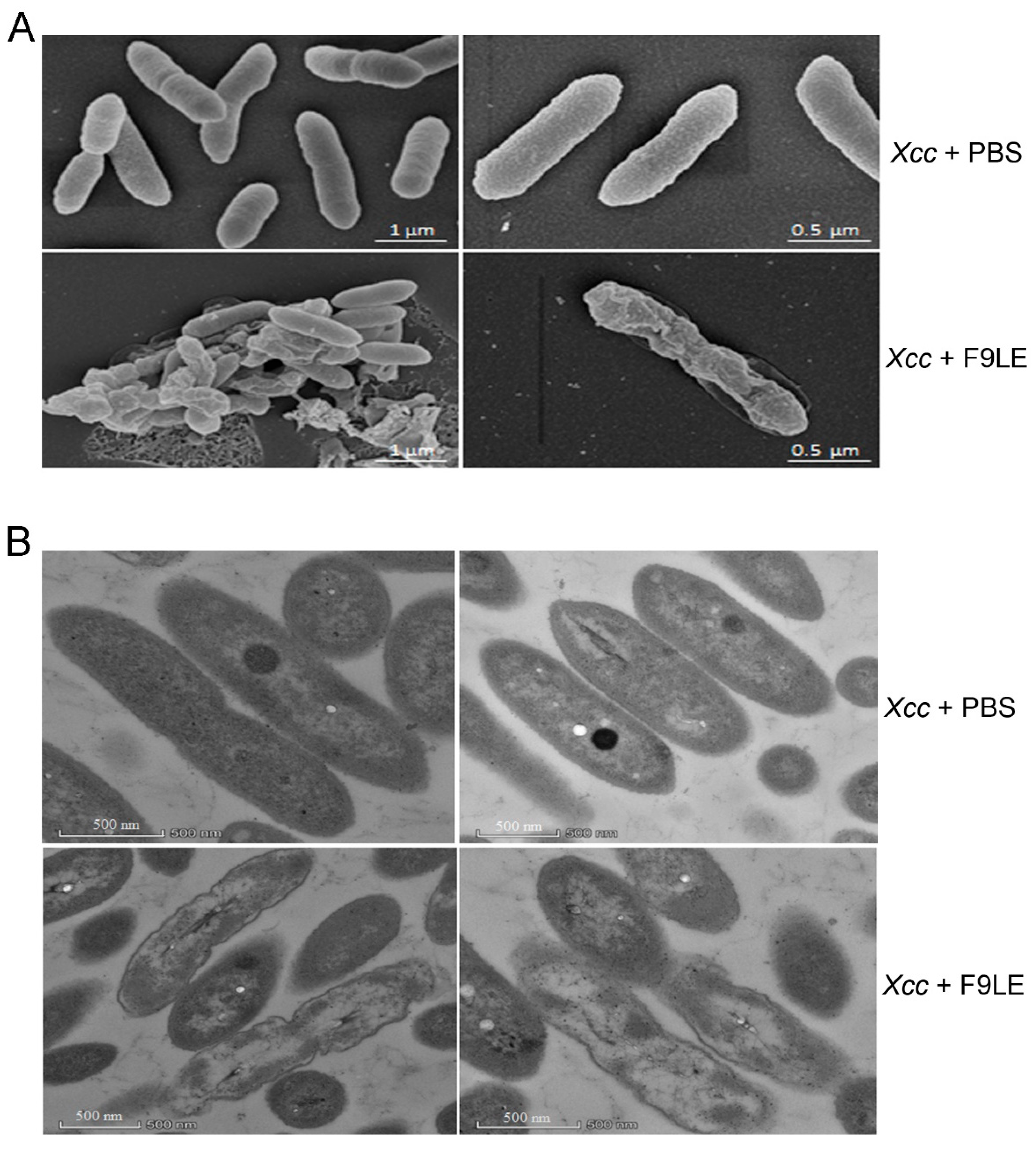 Plants 11 00457 g003