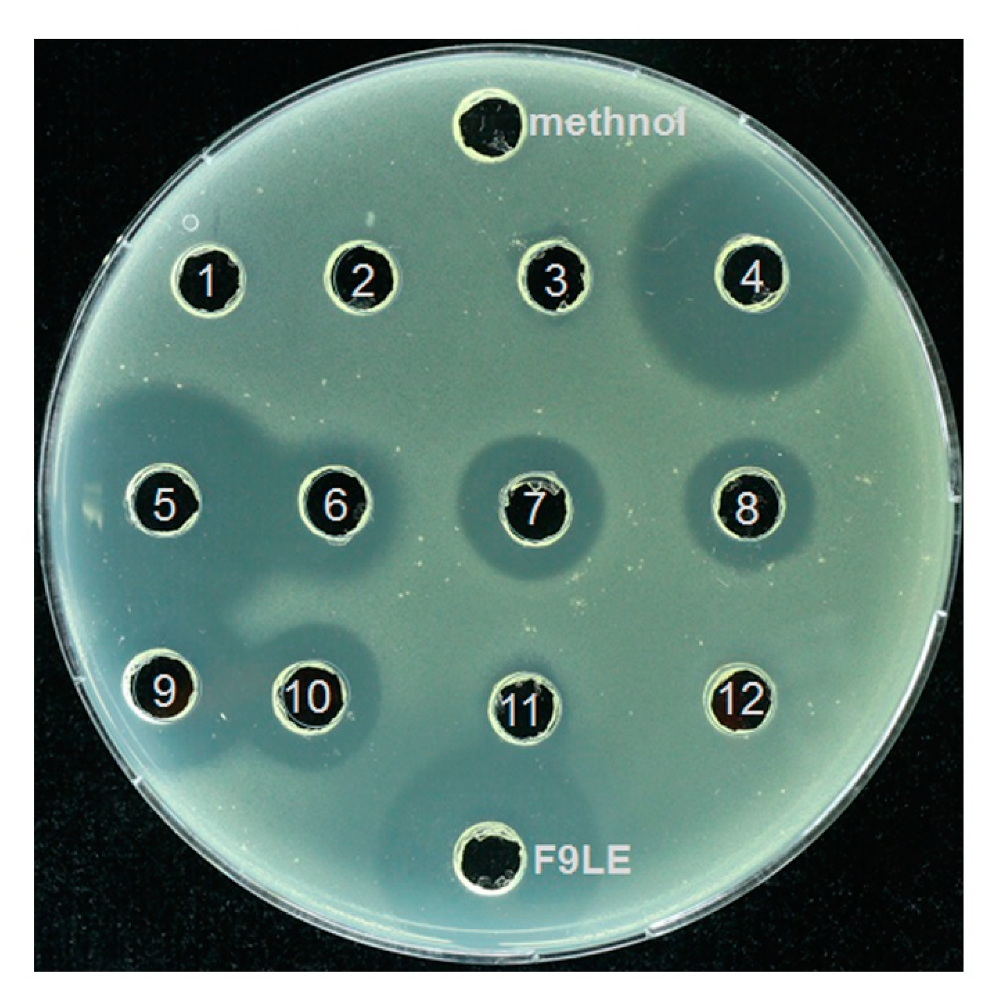 Plants 11 00457 g006