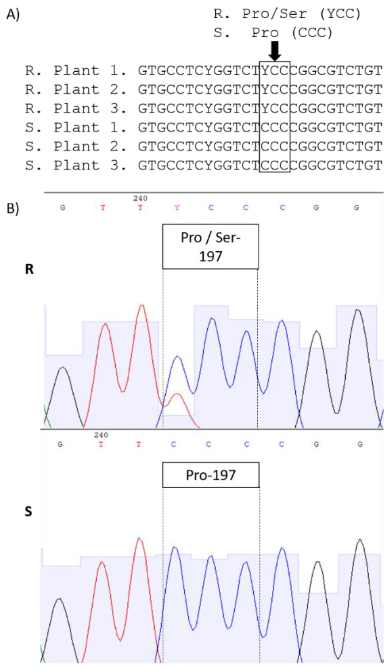 Plants 11 00467 g003 Plants 11 00467 g003