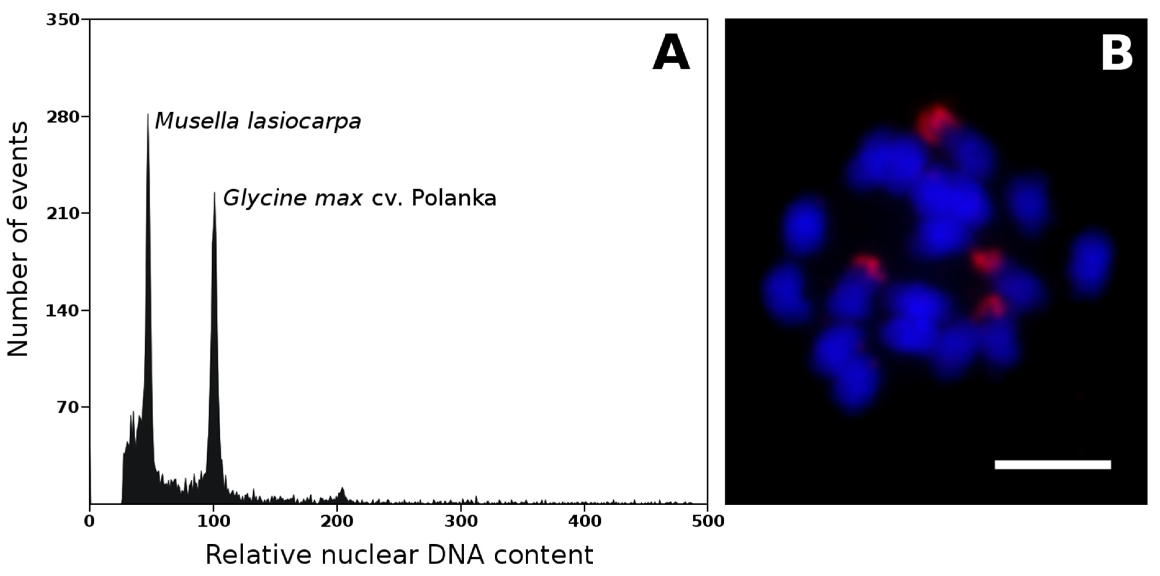 Plants 11 00482 g001