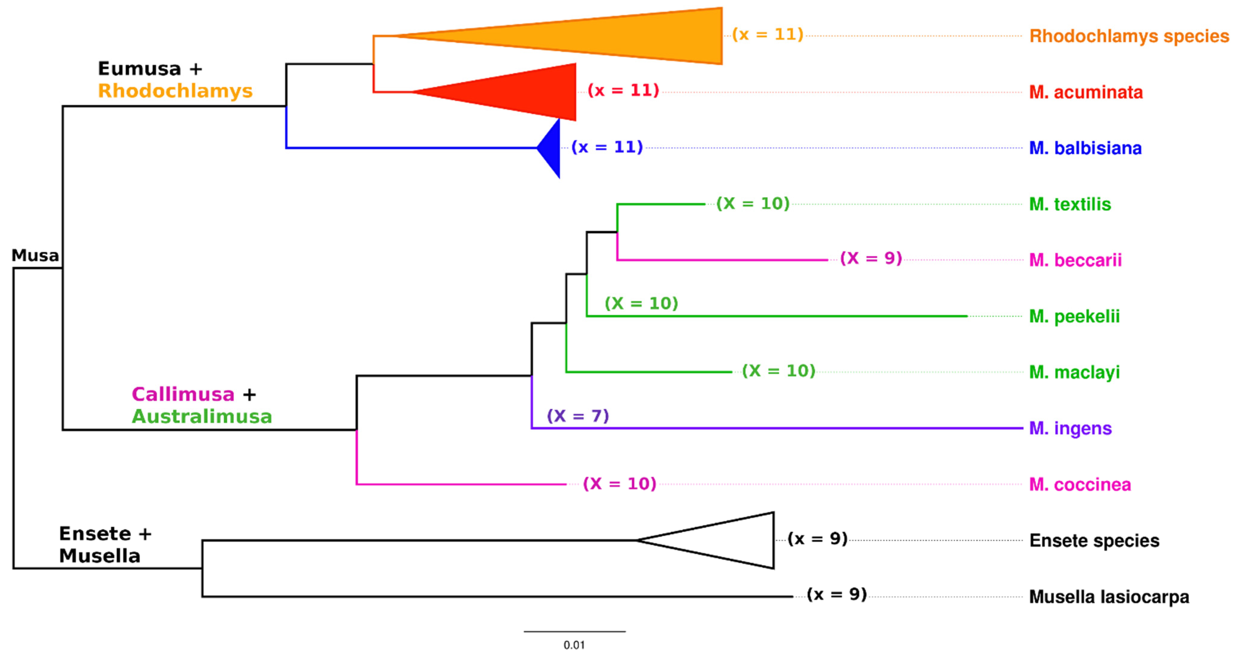 Plants 11 00482 g003