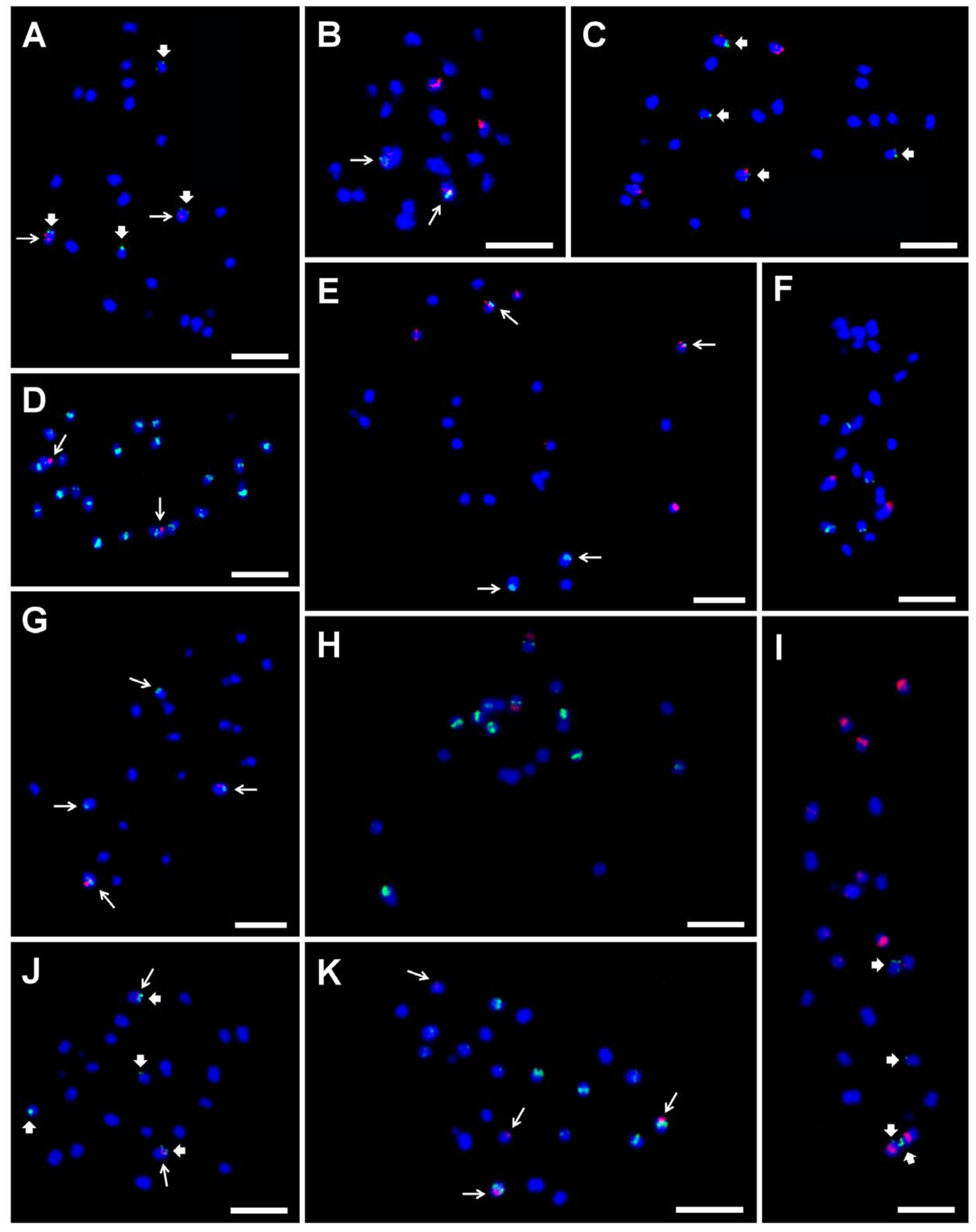 Plants 11 00482 g005