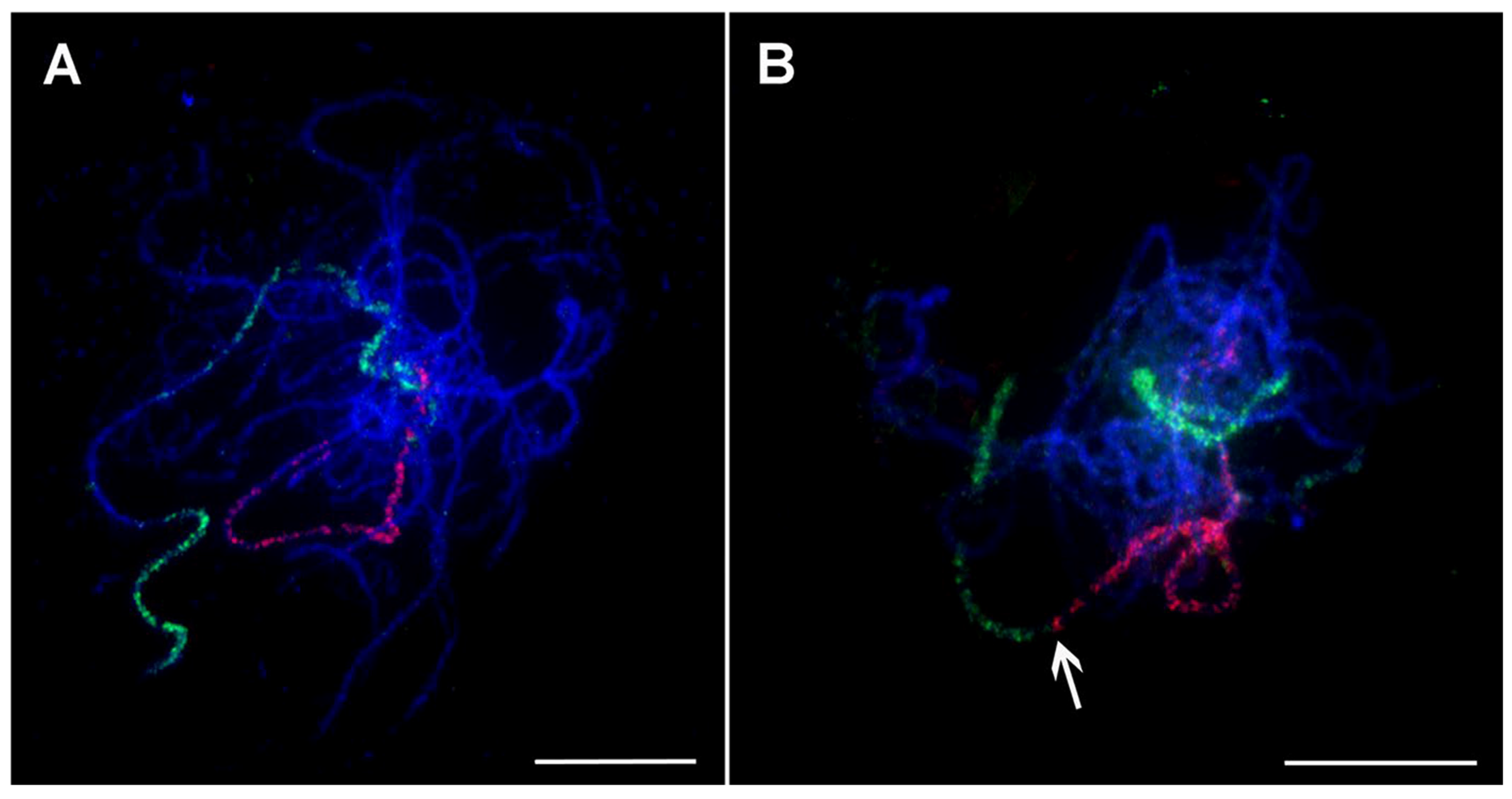 Plants 11 00482 g006
