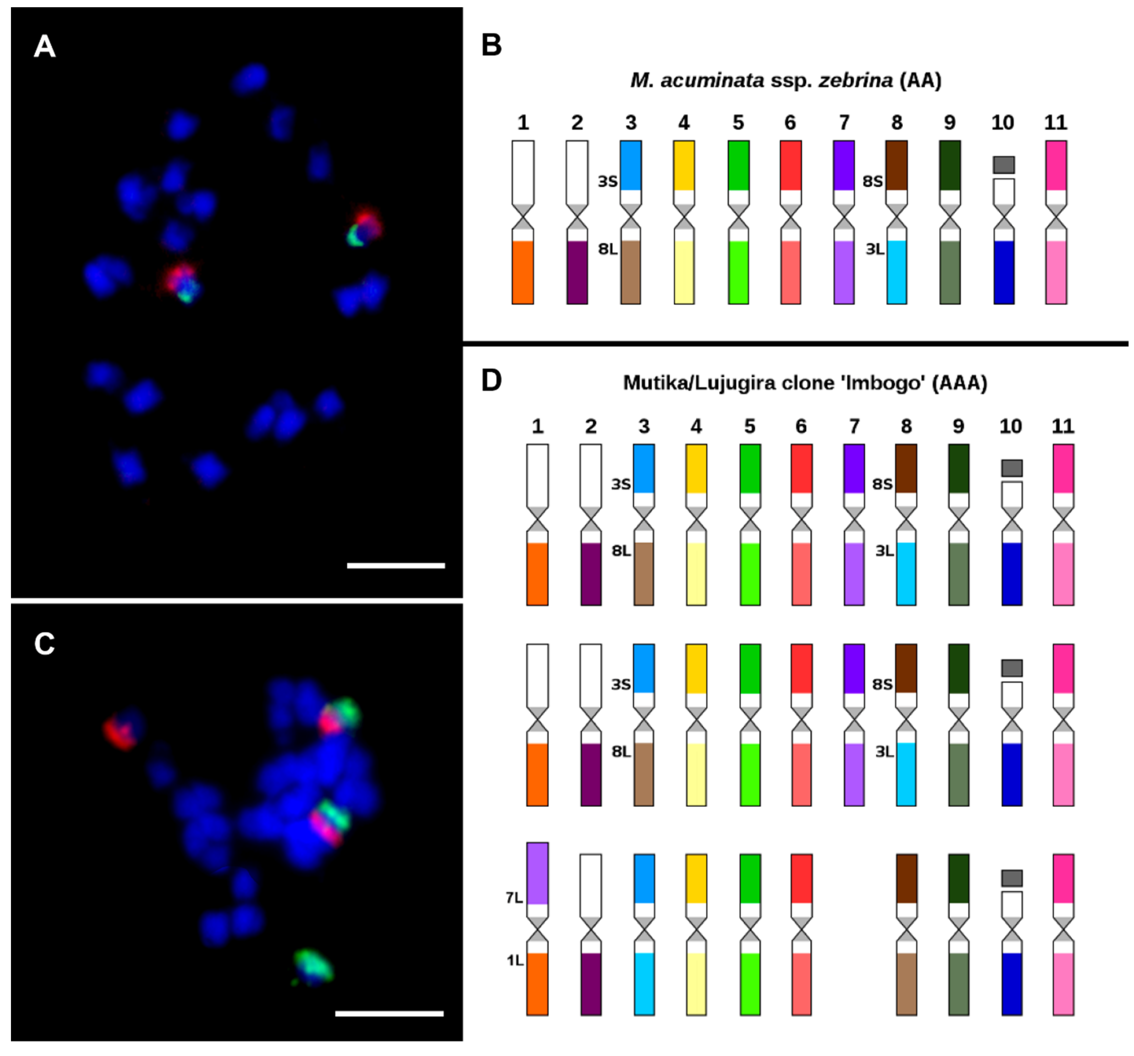 Plants 11 00482 g007