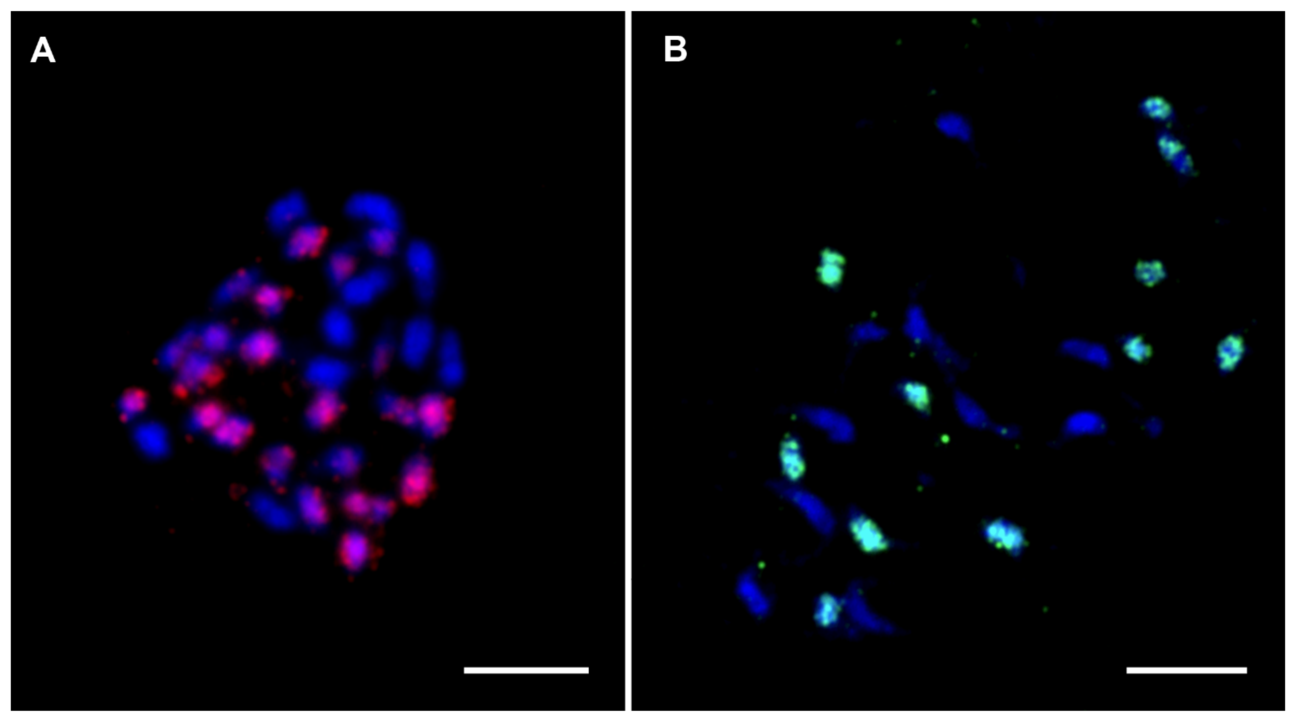 Plants 11 00482 g008