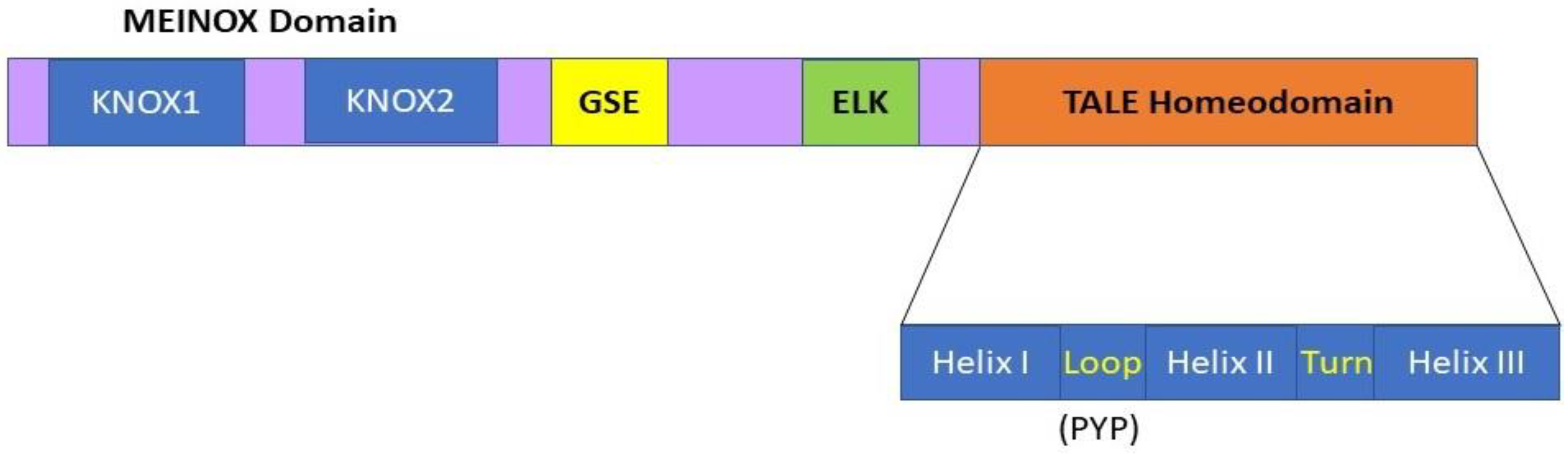 Plants 11 00493 g001